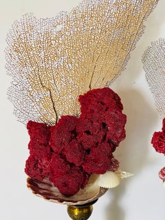 Spec Pair Red Pipe Coral Natural History Specimenwith Sea Fand on Stands