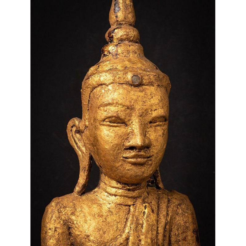 Special Antique Bronze Shan Buddha from Burma For Sale 7