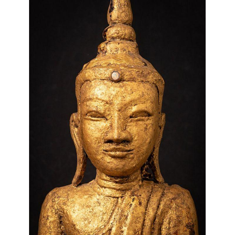 Burmese Special Antique Bronze Shan Buddha from Burma For Sale