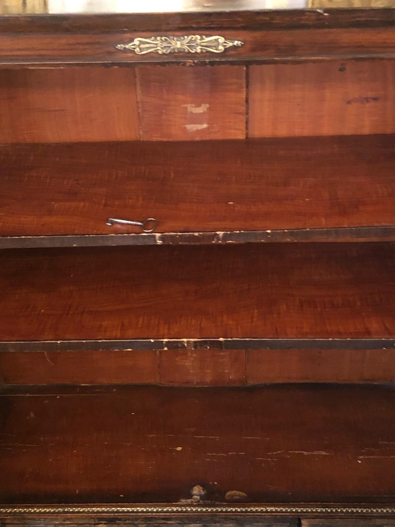 Special Antique Regency Rosewood Grain Painted Bookcase For