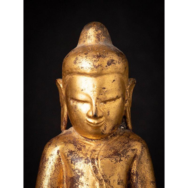 Special Antique Wooden Burmese Buddha Statue from Burma For Sale 6