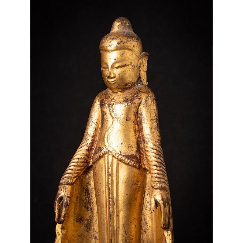Special Antique Wooden Burmese Buddha Statue from Burma For Sale 7