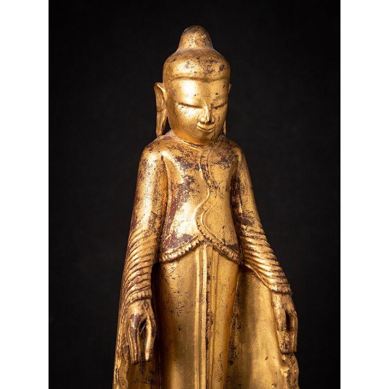 Special Antique Wooden Burmese Buddha Statue from Burma For Sale 3