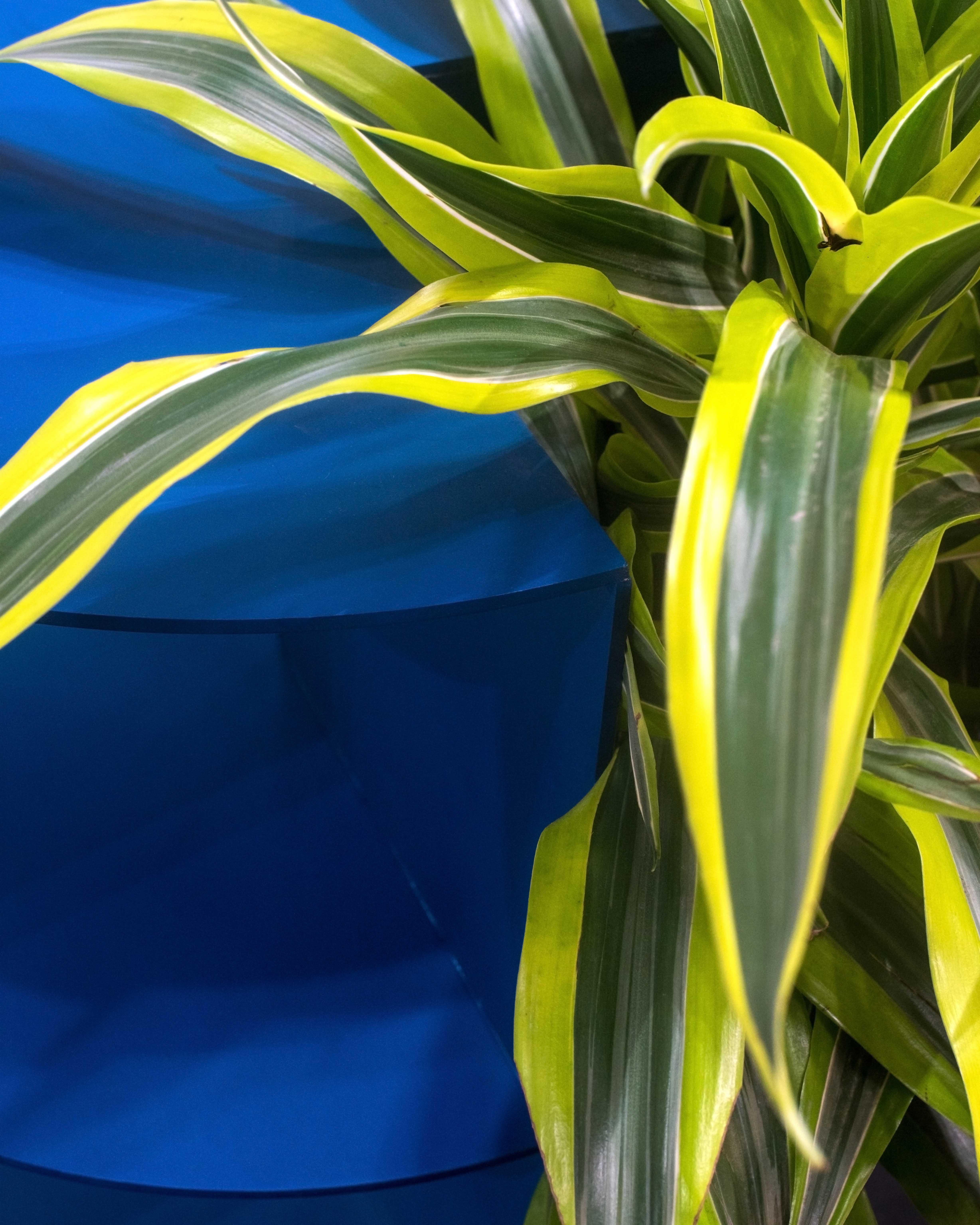 Special Edition Ombre Blue Anodized Planter by Birnam Wood Studio In New Condition In Ridgewood, NY