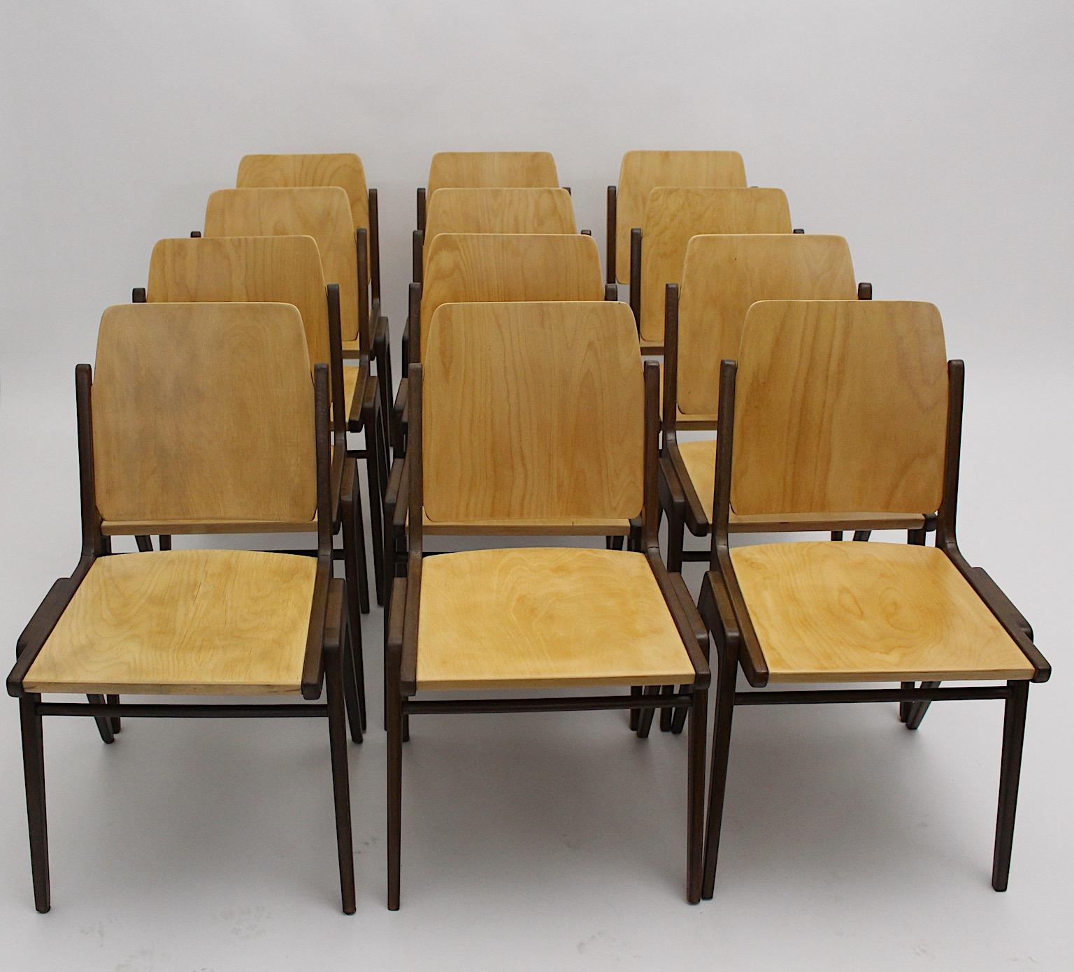 Beech Special Listing for 10 Dining Chairs Franz Schuster 1950s Vienna