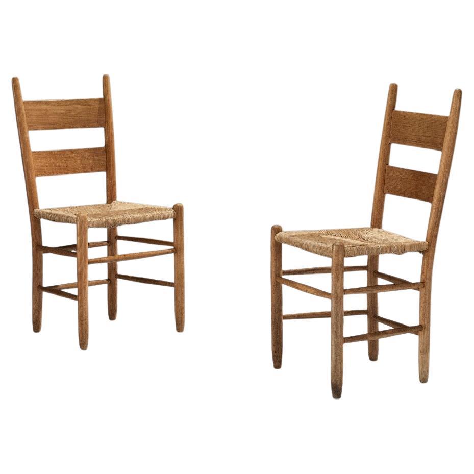 Annonce spéciale pour 6 - 4 x Chaises de salle à manger rustiques en Oak Oak et paille
