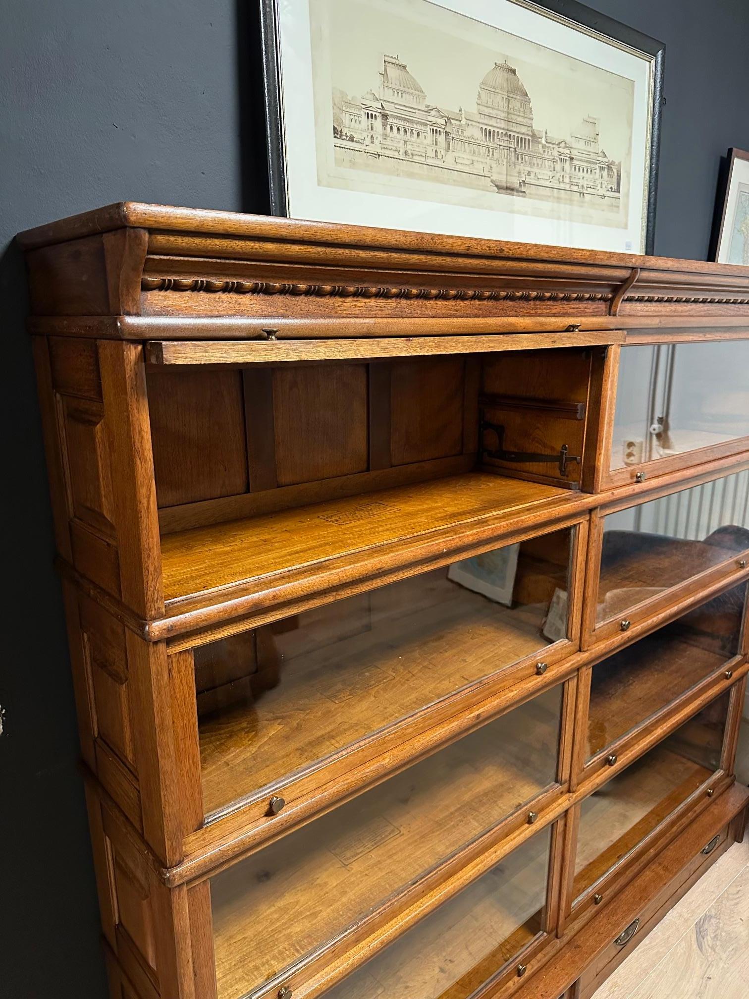 Libreria speciale Globe Wernicke in noce 11