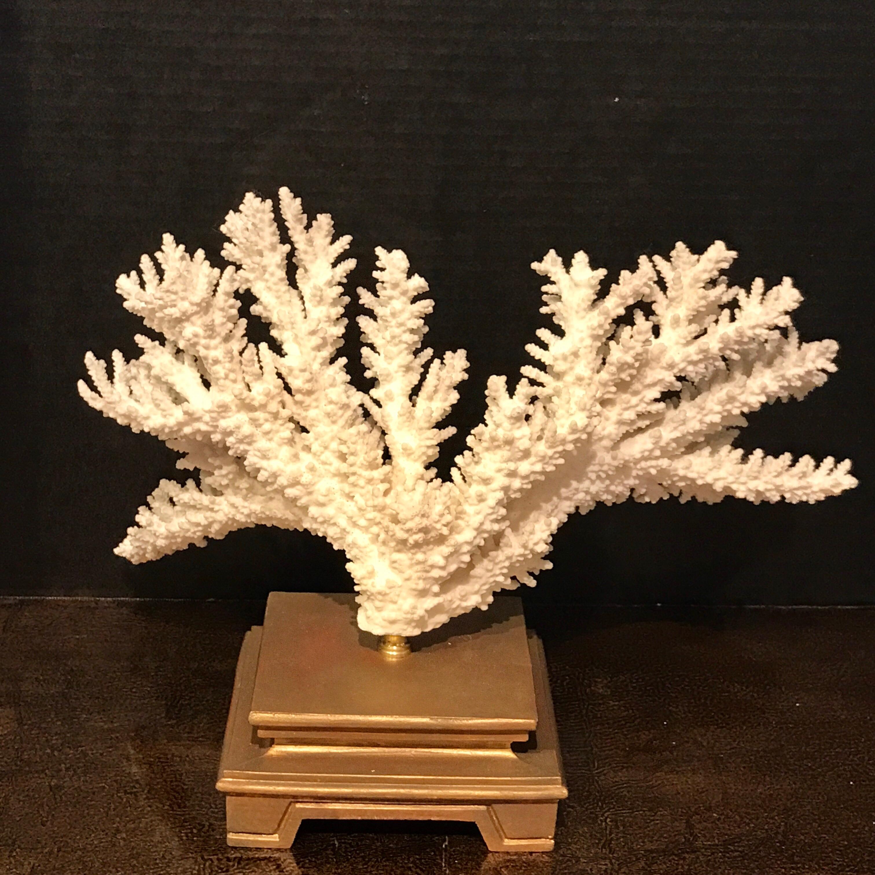 Brass Specimen Blanc Long Branch Coral, Mounted
