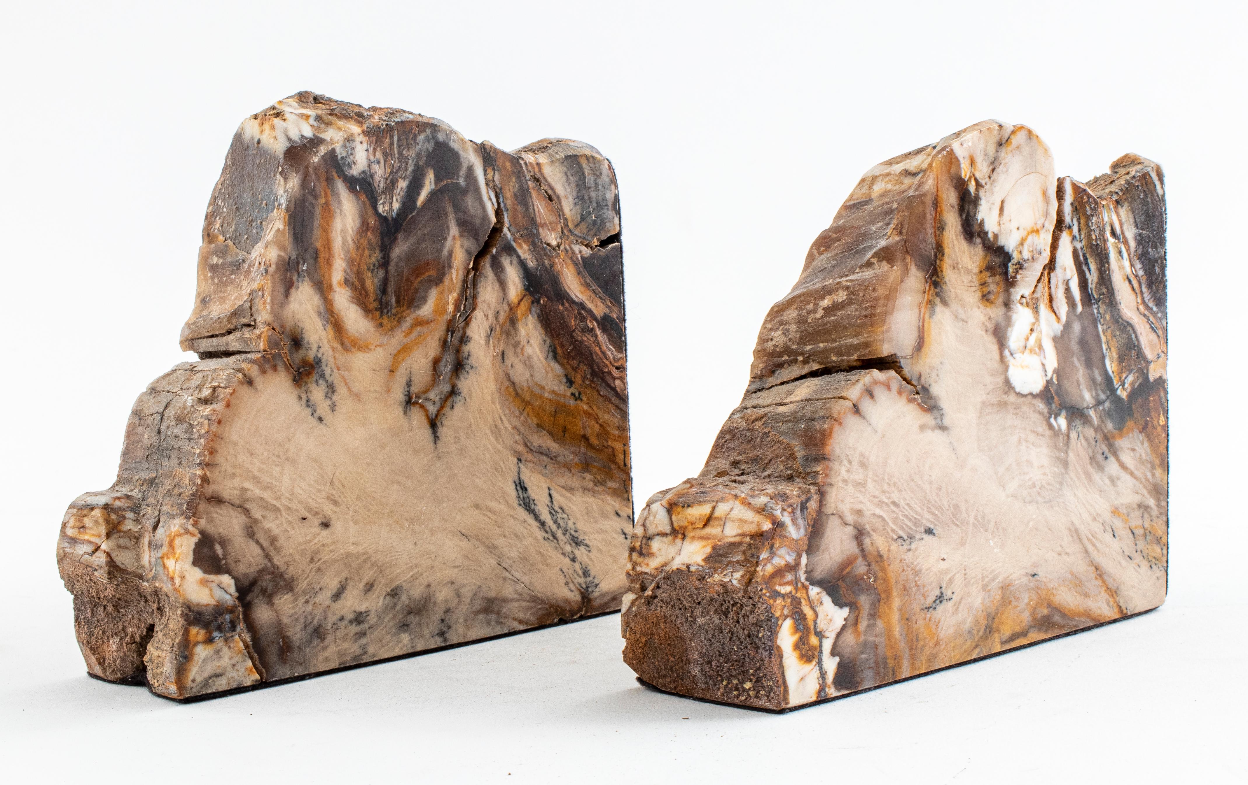 Modern pair of specimen bookends in partly polished petrified wood. 

Measures: 5.5
