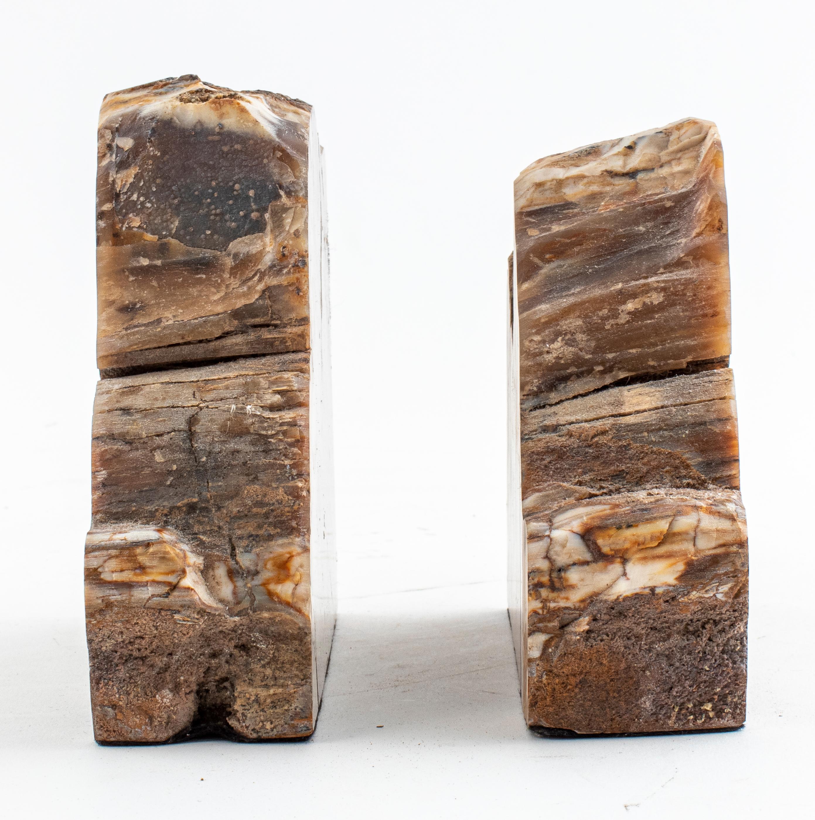 Specimen Bookends in Petrified Wood In Good Condition For Sale In New York, NY