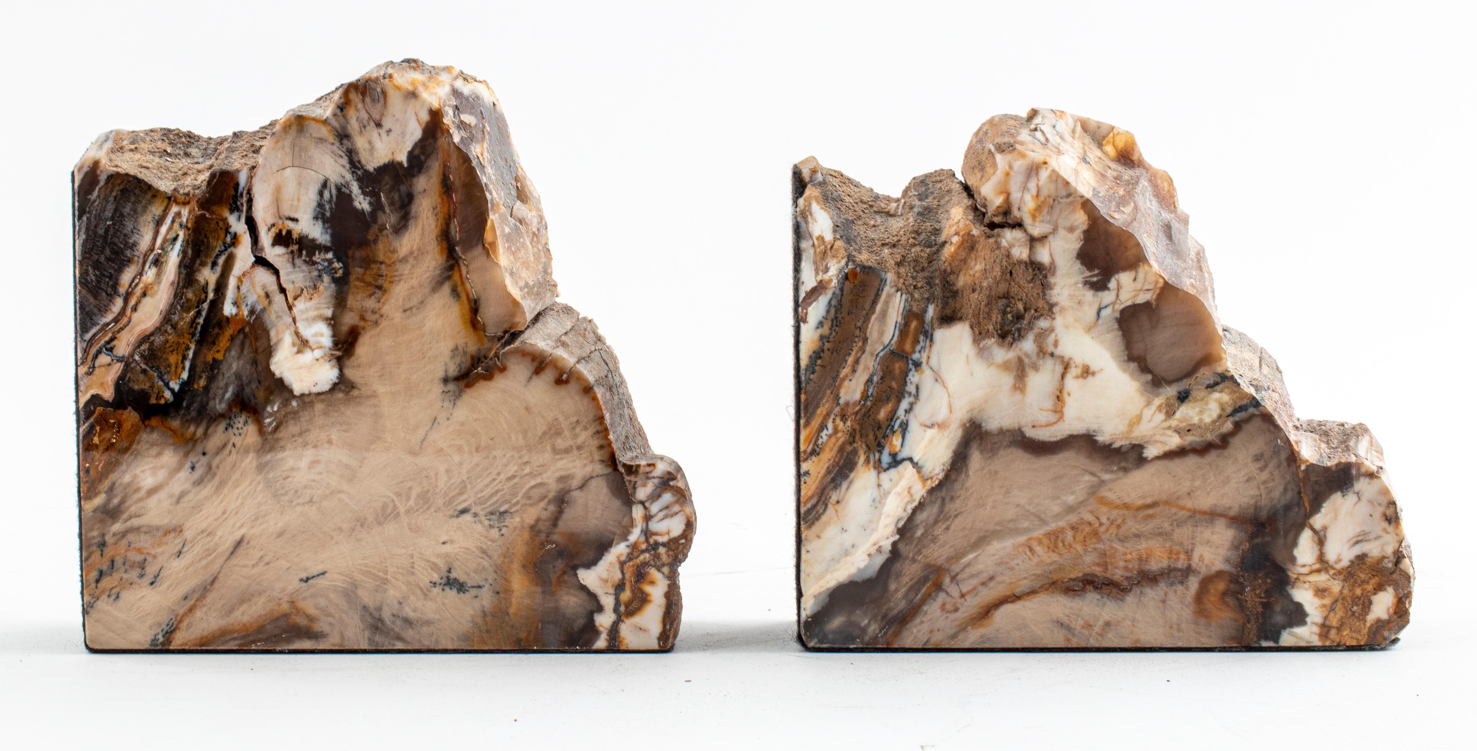 20th Century Specimen Bookends in Petrified Wood For Sale