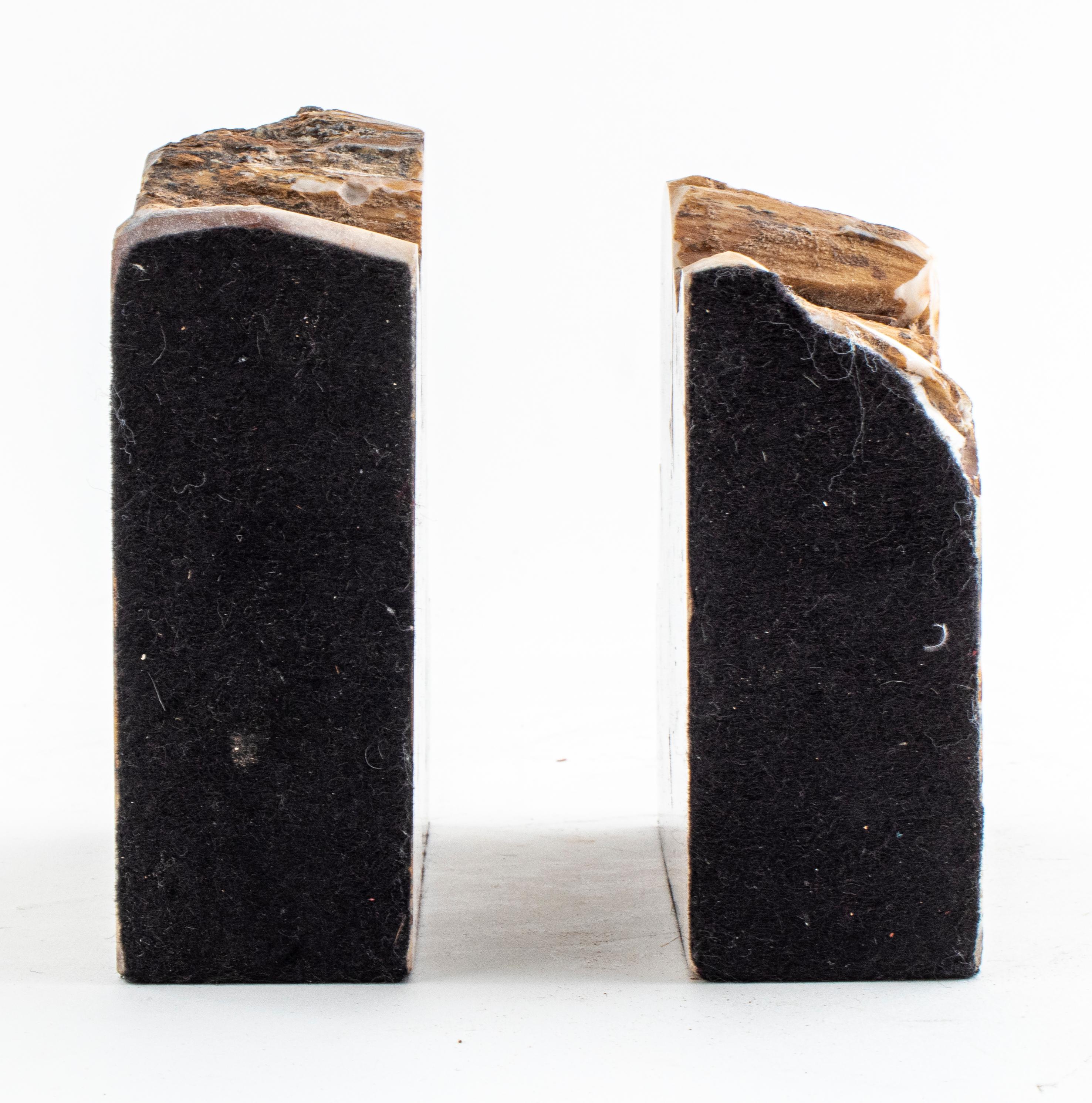 Bois fossilisé Serre-livres spécimen en bois pétrifié