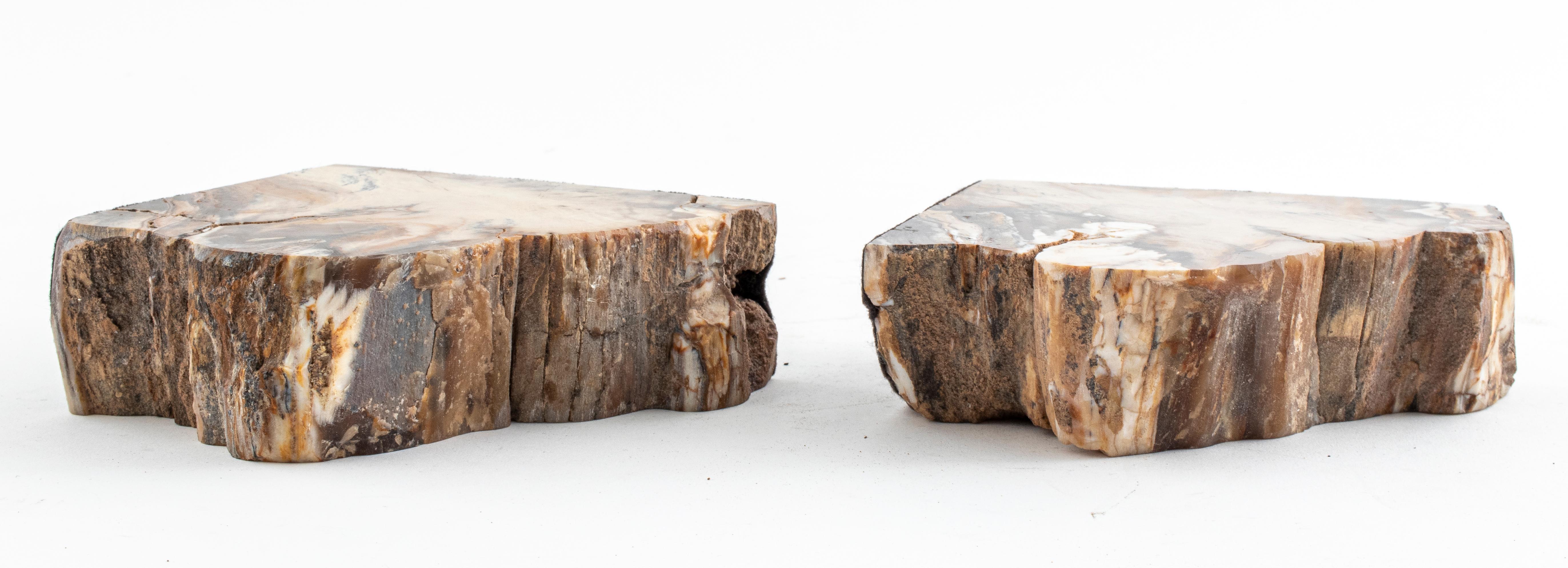 Specimen Bookends in Petrified Wood For Sale 3
