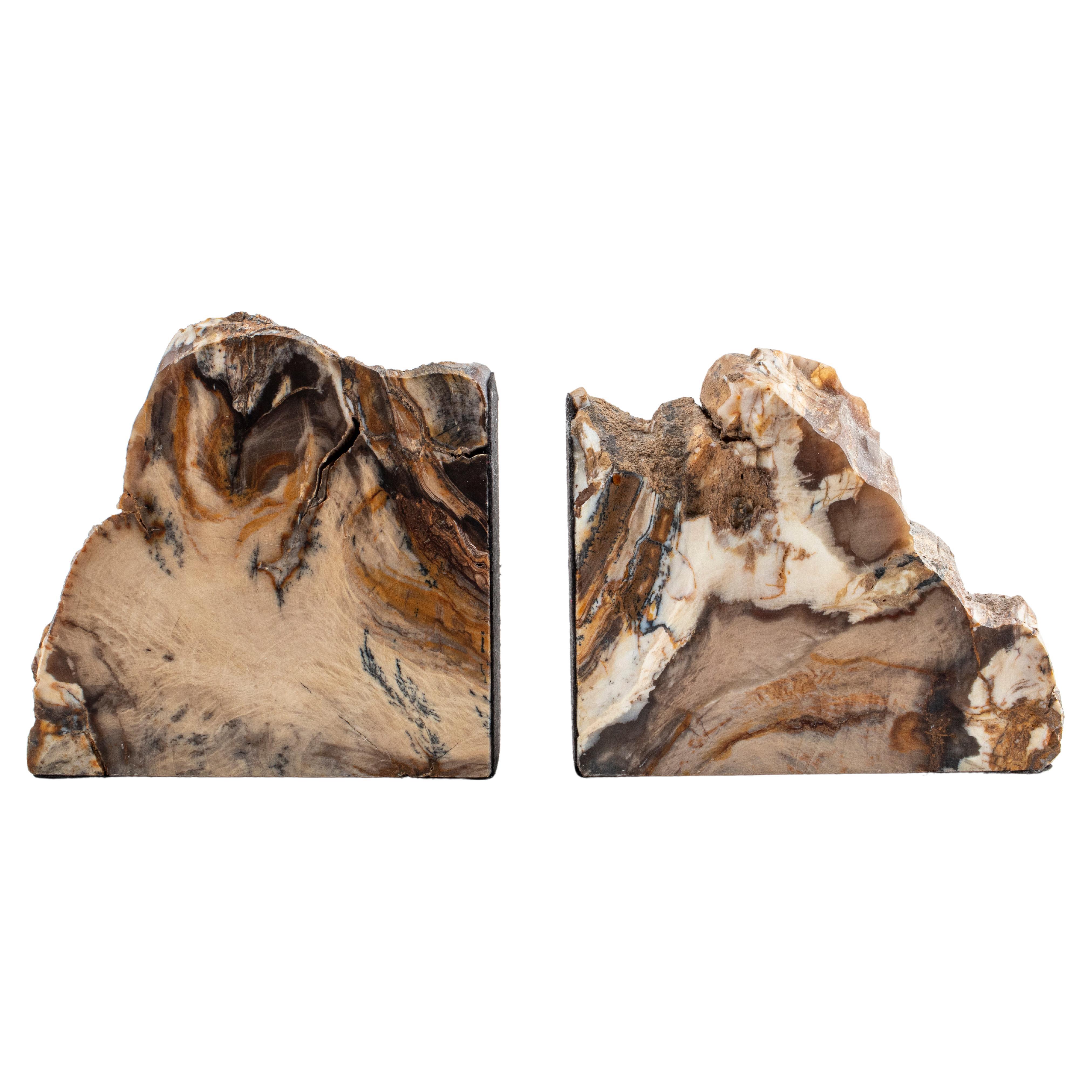 Specimen Bookends in Petrified Wood For Sale