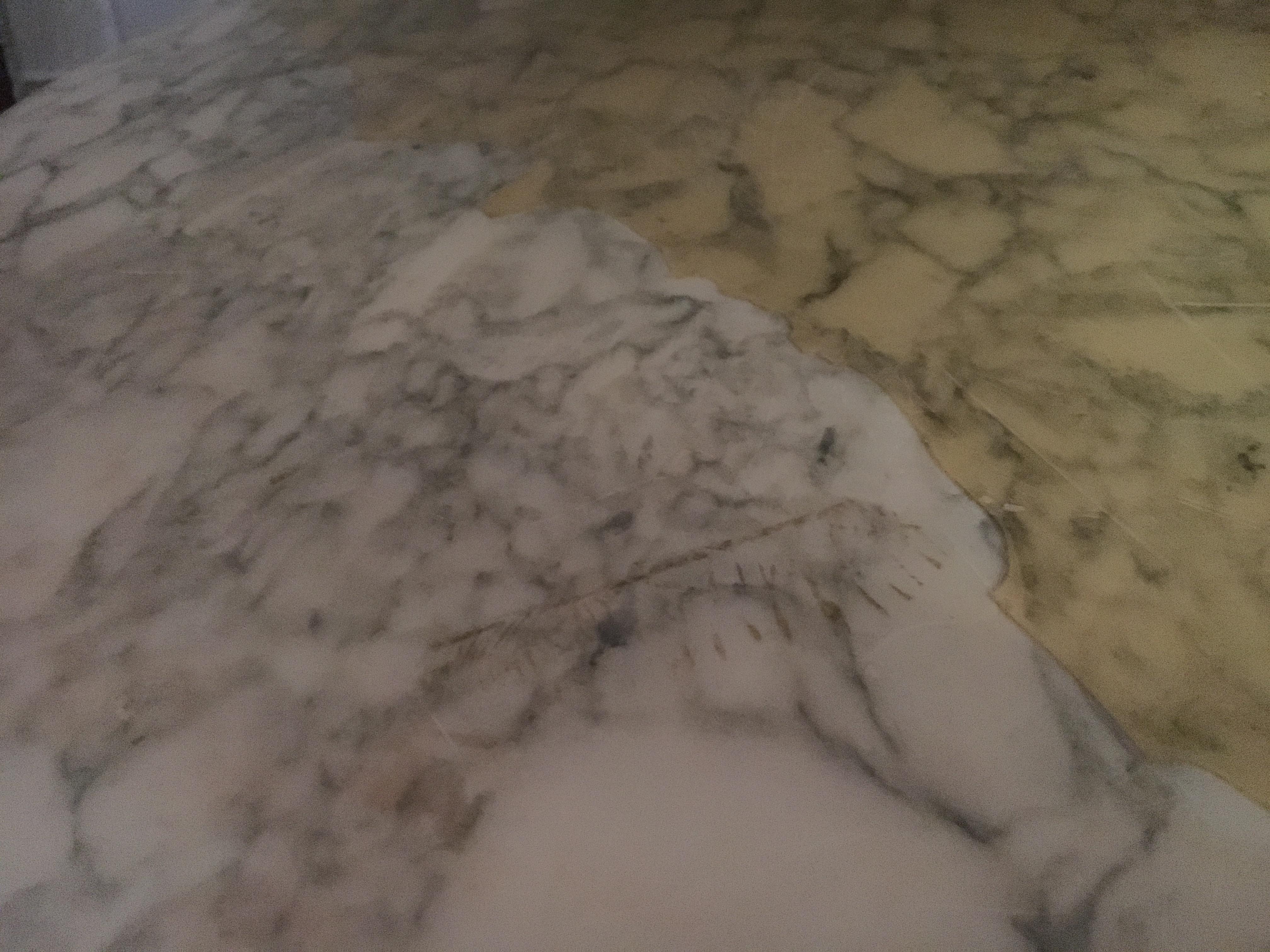 French Specimen Marble Top, 19th Century For Sale