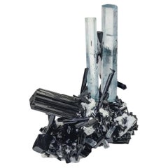 Specimen von Aquamarin-Kristallen auf Schale aus schwarzem Turmalin aus Pakistan