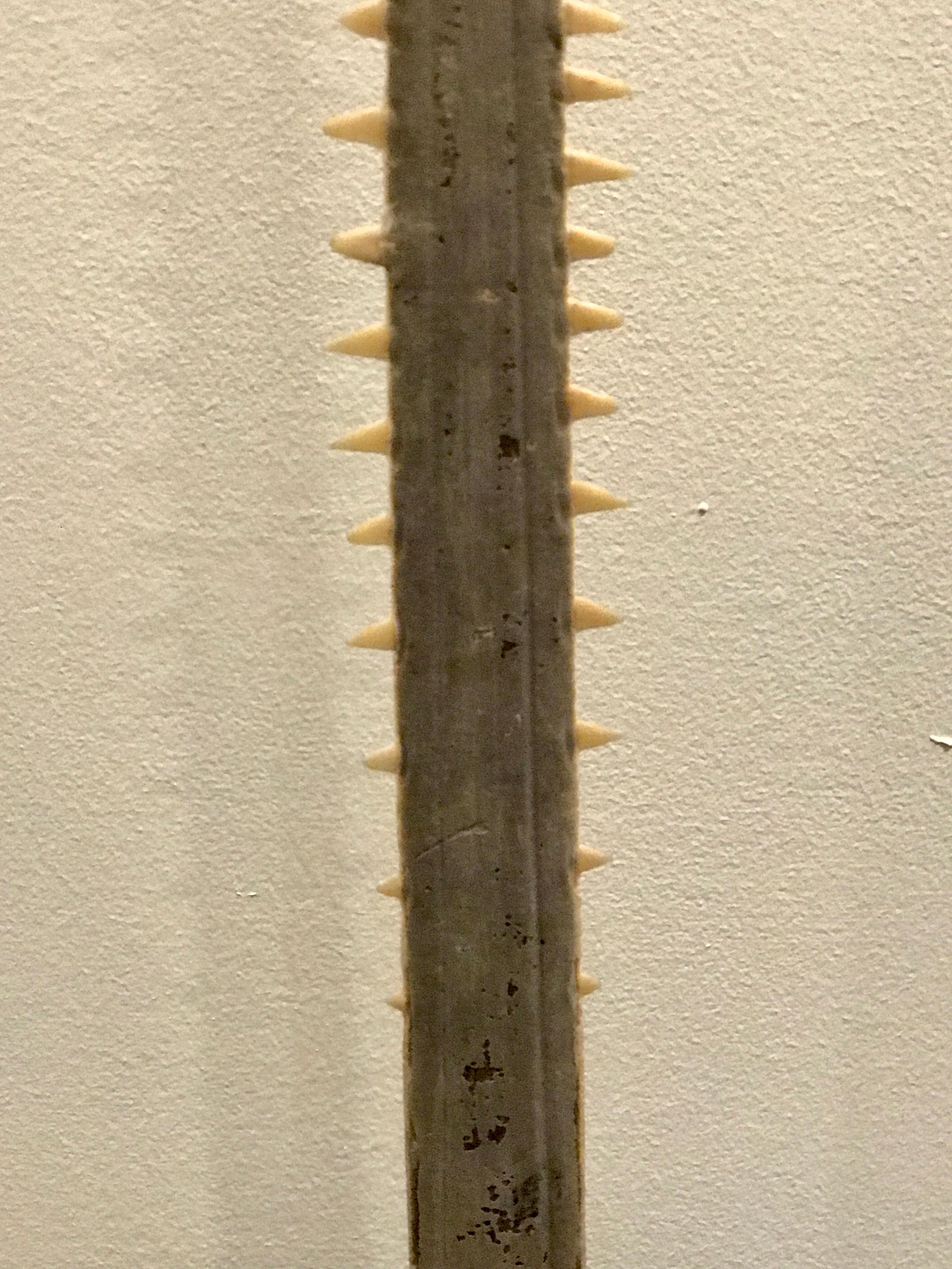 Specimen Rostrum or Saw Bill Sculpture For Sale at 1stDibs