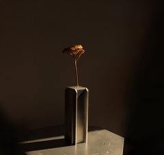 Specimen Vessel Aluminium Vase by Bureau of Entropy