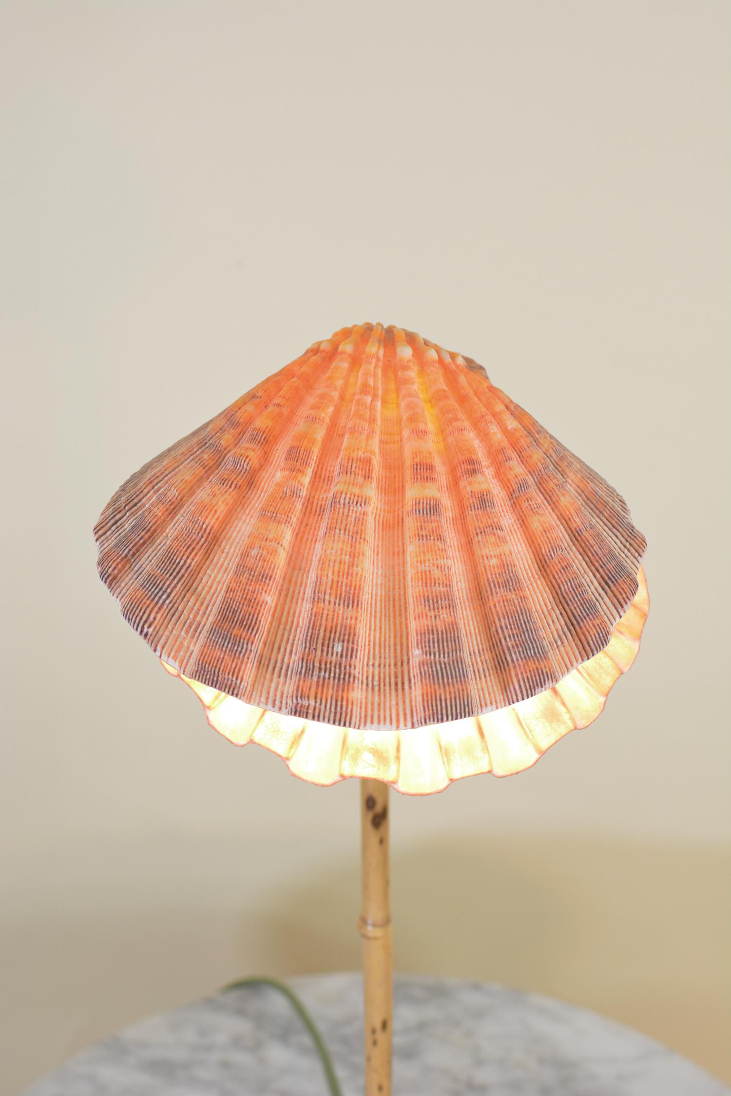 Speckled Bamboo Task Lamp with Scallop Shell Shade and Coiled Seagrass Base For Sale 3