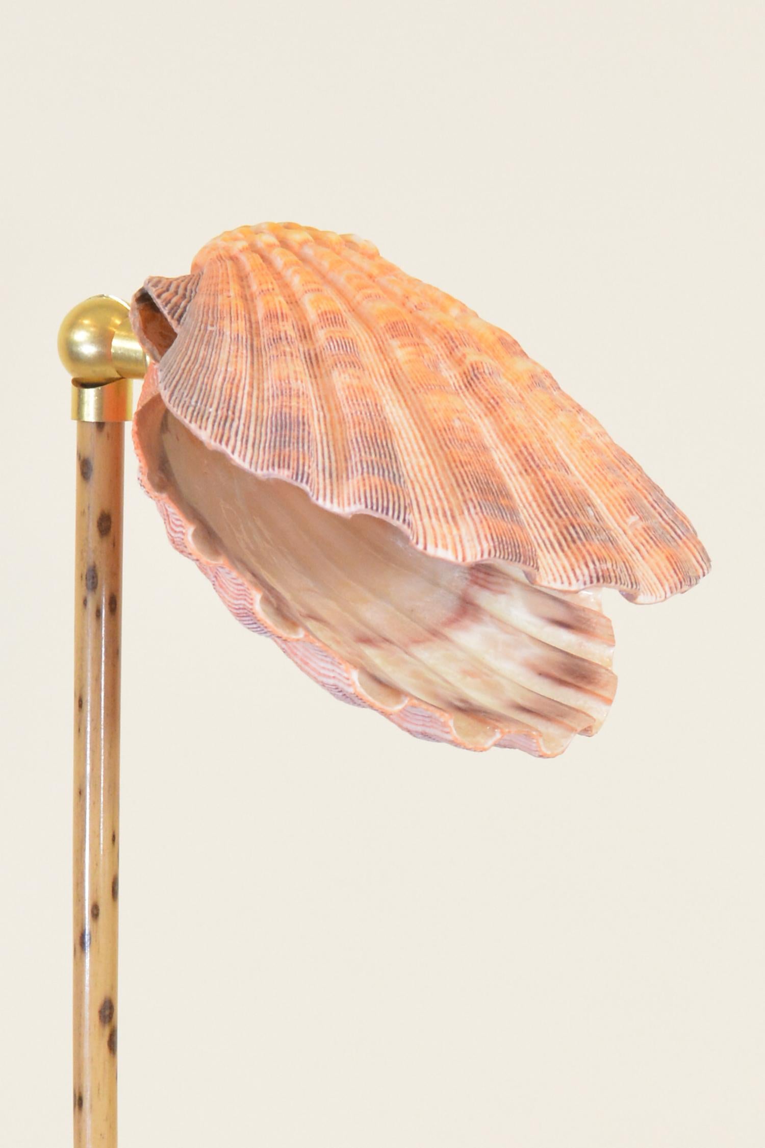 Brass Speckled Bamboo Task Lamp with Scallop Shell Shade and Coiled Seagrass Base For Sale