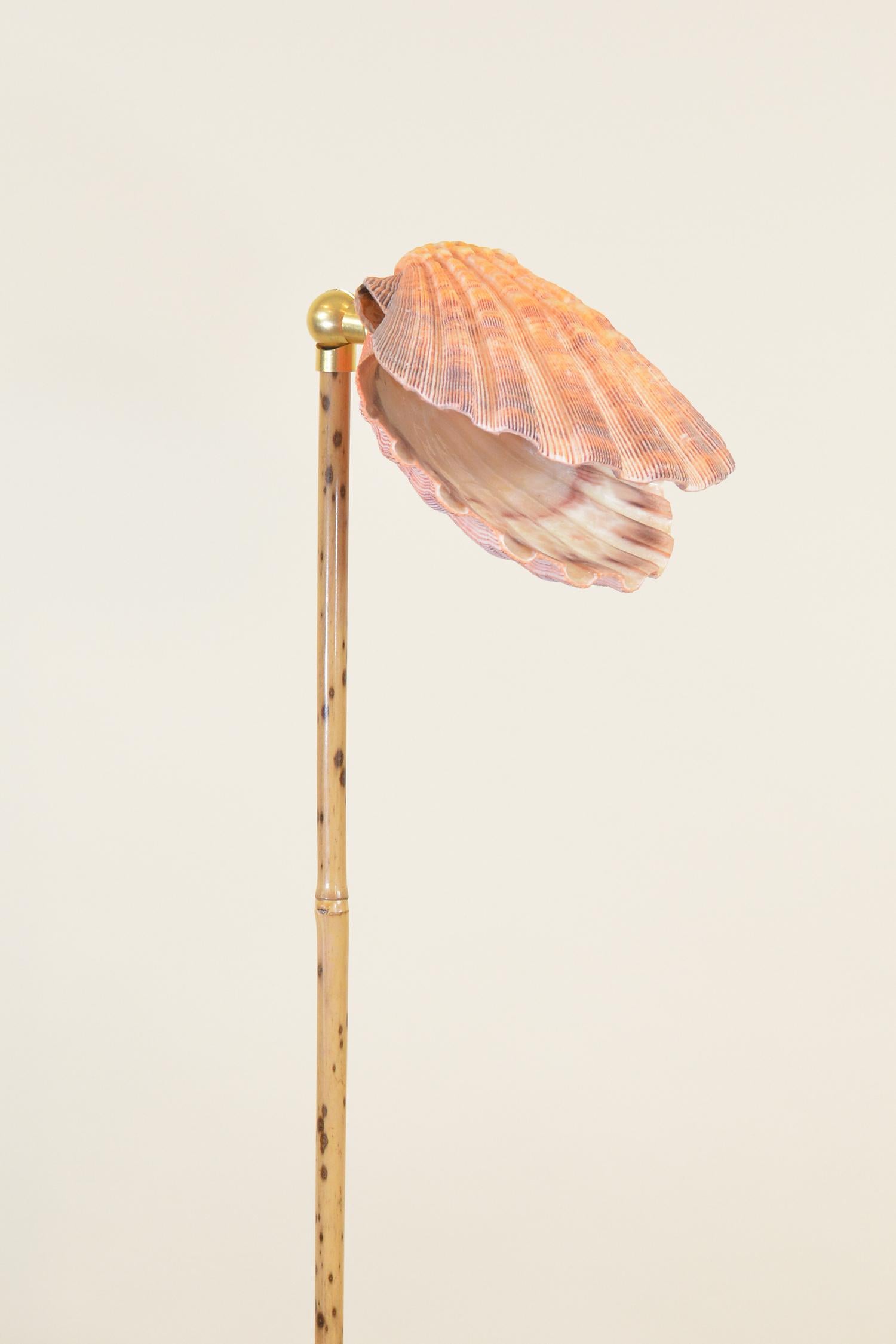 Speckled Bamboo Task Lamp with Scallop Shell Shade and Coiled Seagrass Base For Sale 1