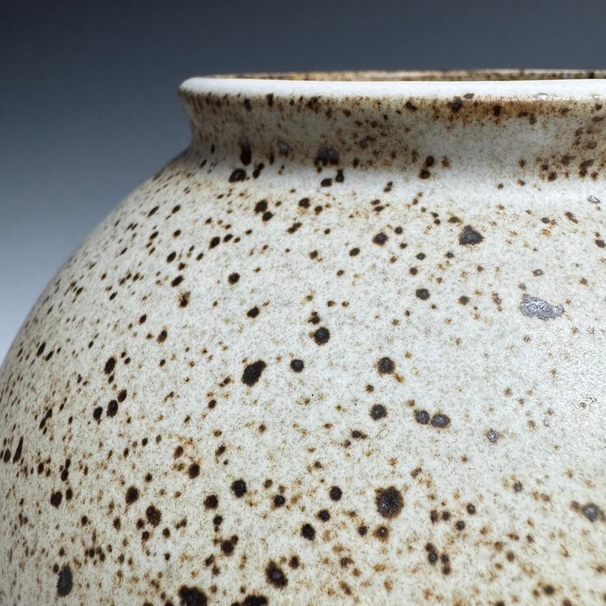 Fired Speckled White Moon Jar by Jason Fox For Sale