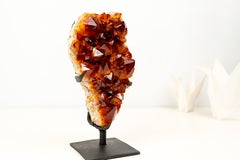 Espectacular racimo de cristal de citrino de Madeira de grado AAA con gran drusa brillante