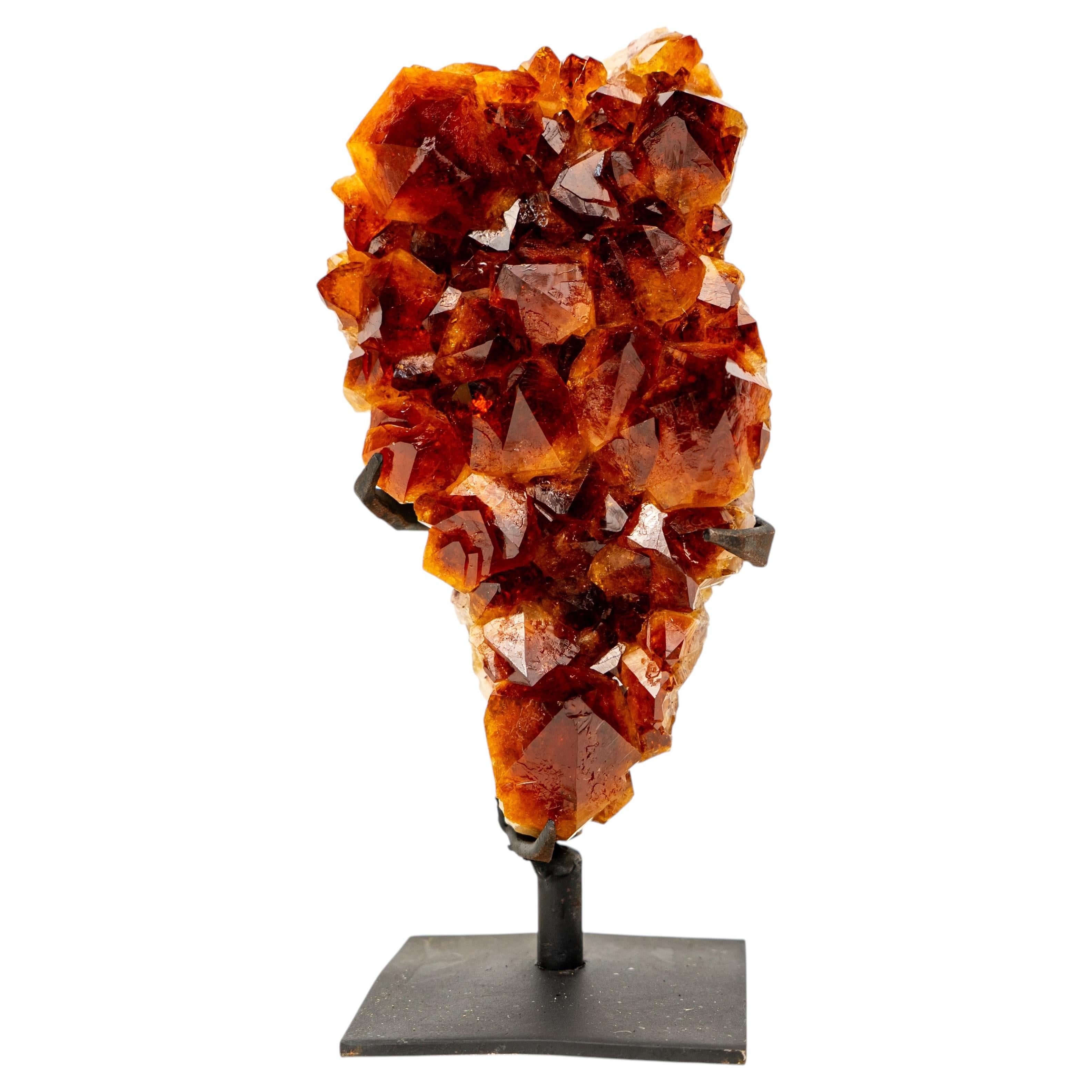 Spectacular AAA-Grade Madeira Citrine Crystal Cluster with Large Sparkling Druzy