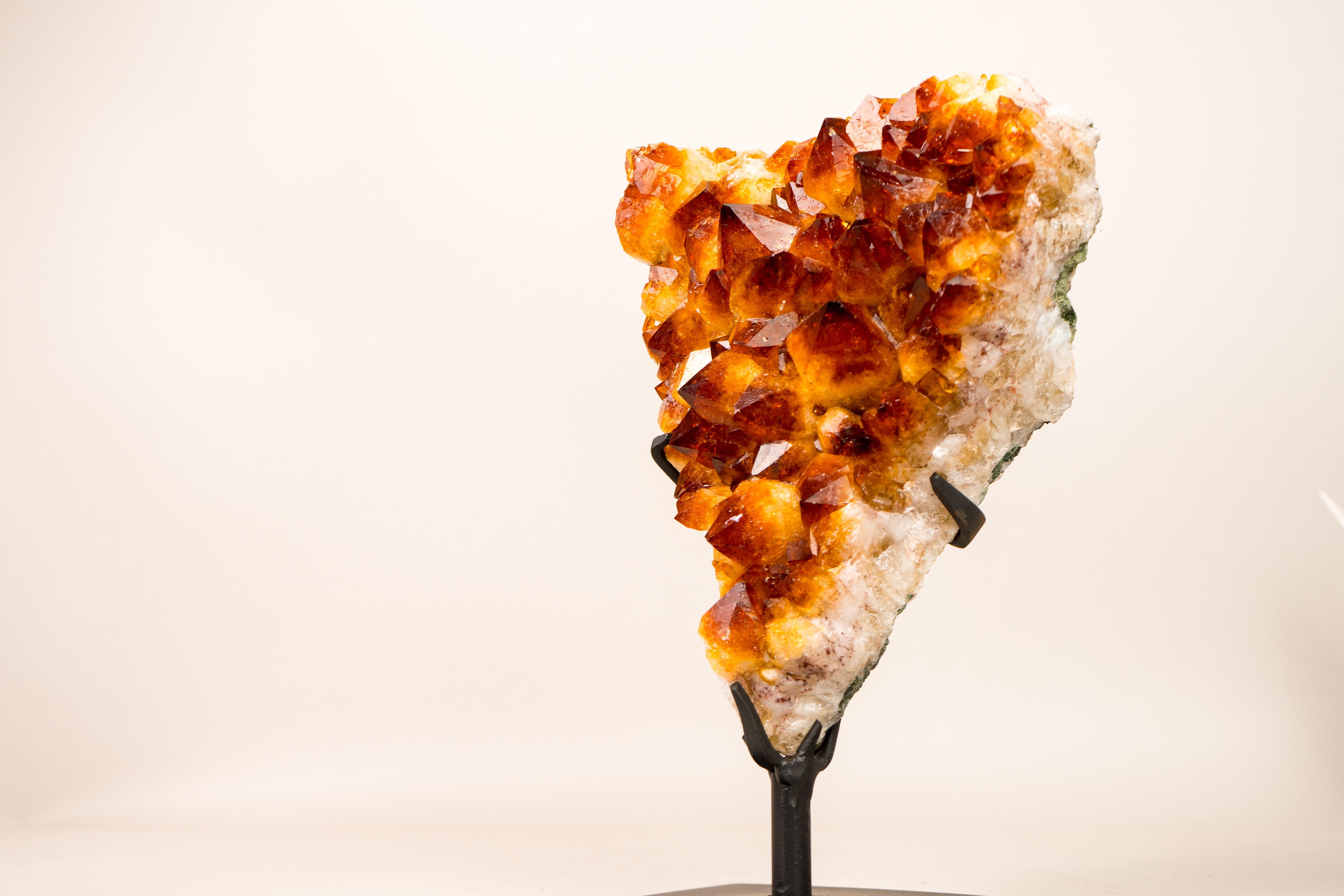 Exceptional Collector’s Piece with Vivid Madeira Orange Color and Brilliant Sparkle

▫️ Description 

The rarest color among all citrines, intense Madeira citrine is deeper and bolder than any other, with a rich orange-red hue. In this specimen, it