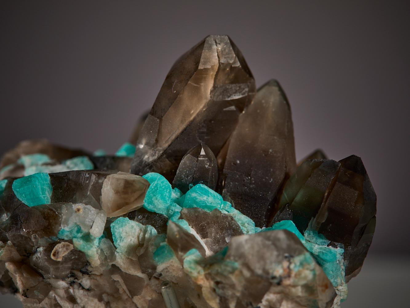 Cet étonnant spécimen du Colorado combine magnifiquement des cristaux de quartz fumé avec de l'amazonite d'un vert turquoise saisissant et du feldspath d'un blanc tendre. Le contraste des couleurs - des bruns riches, des verts vibrants et des blancs