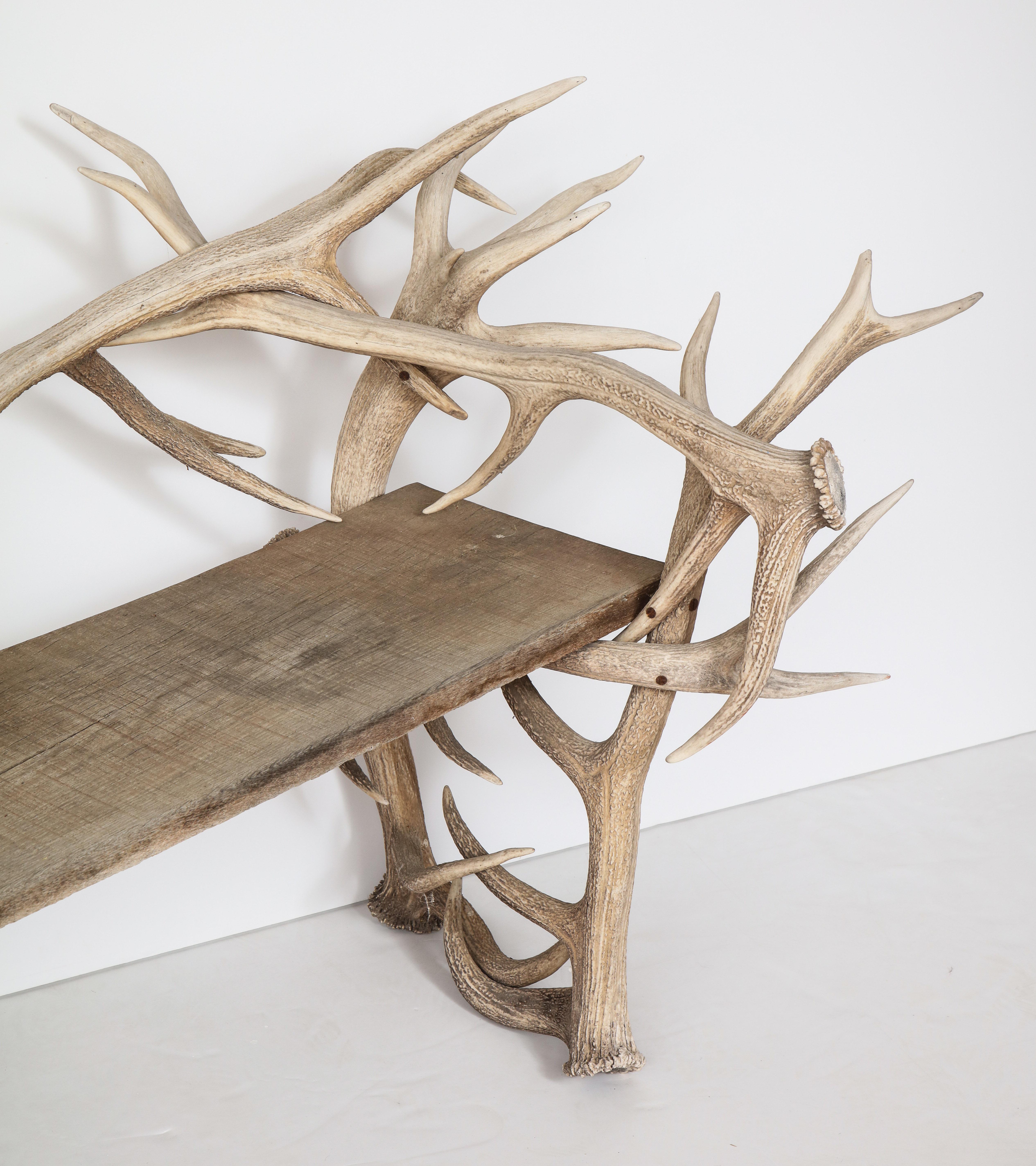 Spectacular Antler Chair or Bench In Good Condition In New York, NY