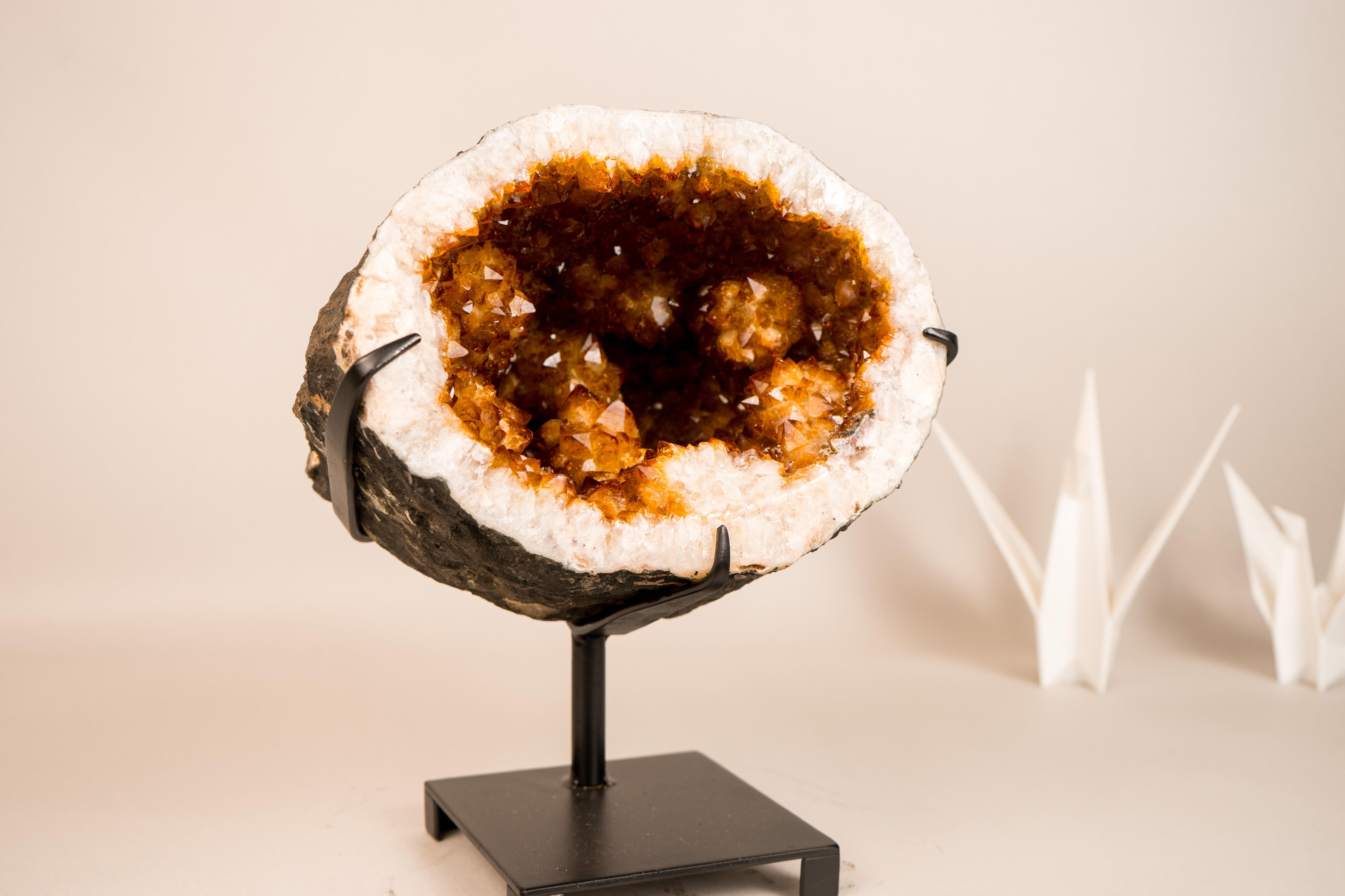 All-Natural Golden Orange Citrin Geode Höhle mit seltenen, einzigartigen Rosette Blumen

▫️ Beschreibung

Eine Citrin-Geodenhöhle mit einzigartigen Merkmalen, die sie zu einer der ästhetisch schönsten Geoden machen, die Sie je gesehen haben. Dieser