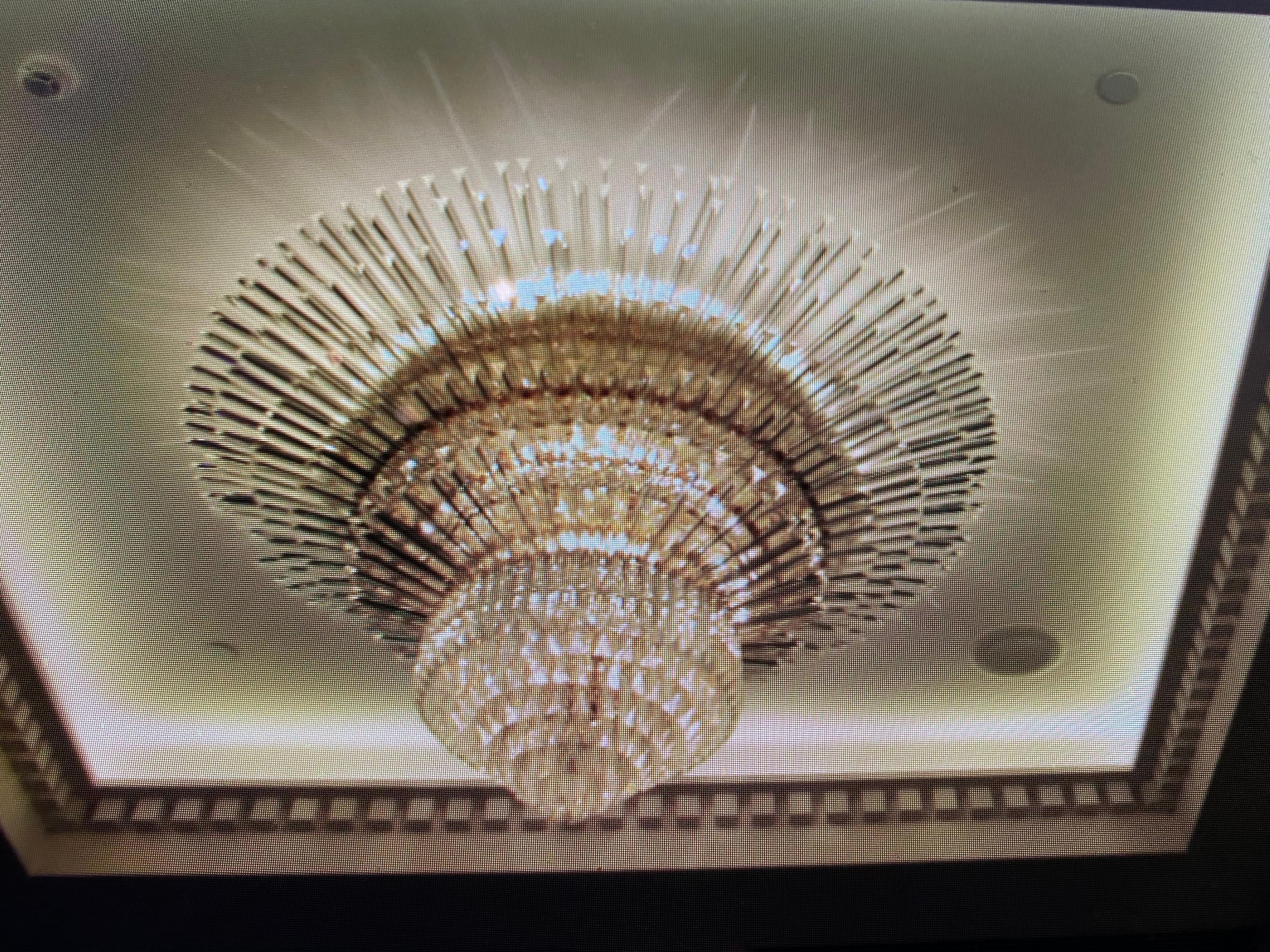 Spectacular Contemporary Italian Murano Glass Triedi Ceiling Light For Sale 11