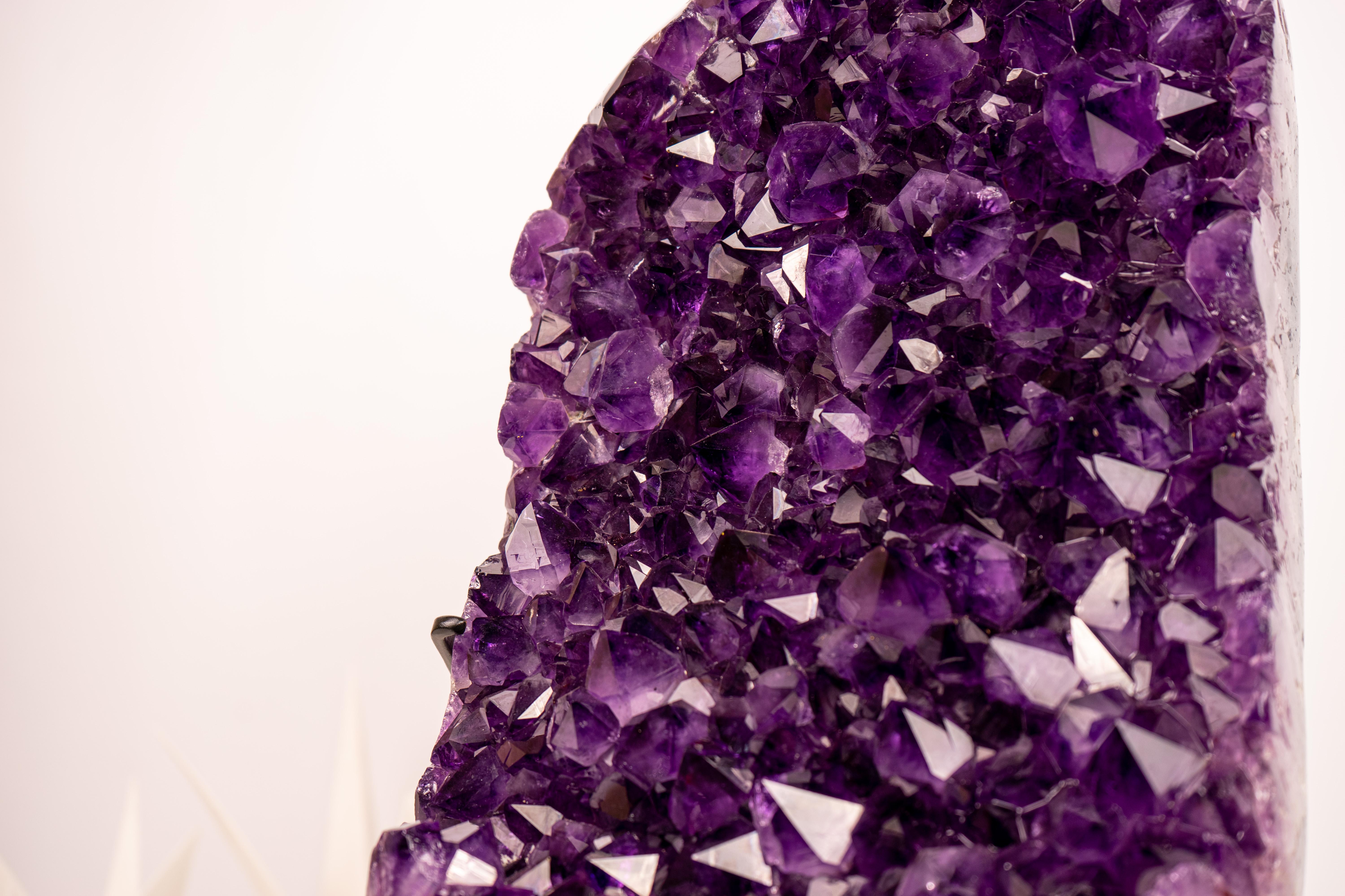 Cluster di ametista viola intenso e ricco con druzy di ametista AAA

▫️ Descrizione

Un cluster di ametista che presenta caratteristiche di livello mondiale come il tono di viola più profondo che un'ametista possa avere, un'estetica bellissima e una