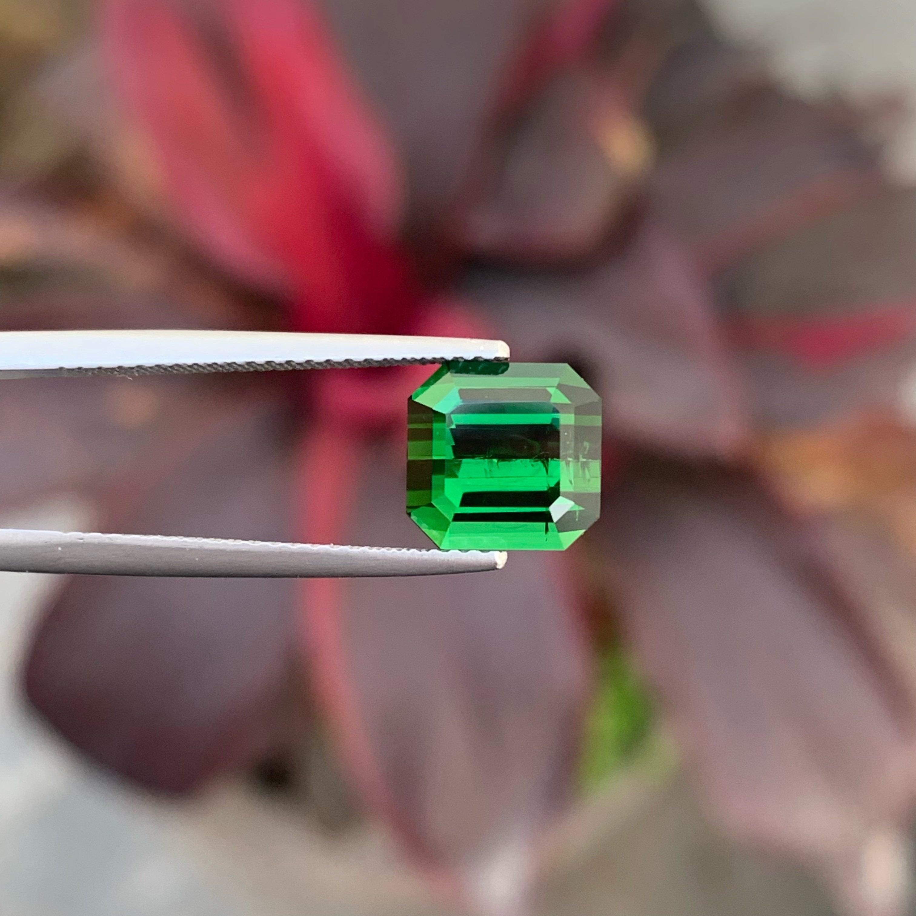 Modern Spectacular Grass Green Tourmaline Stone 3.35 Carats For Sale