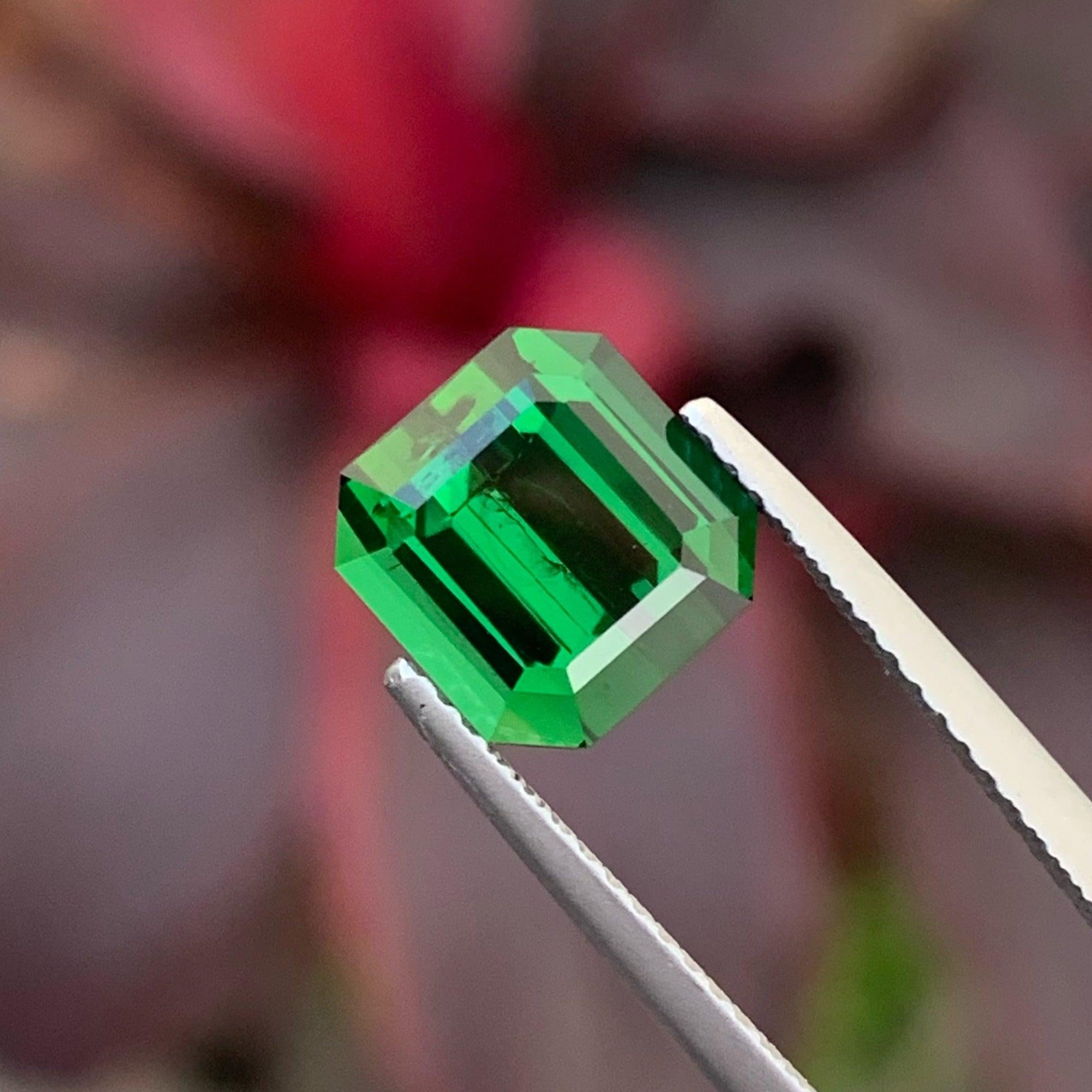 Women's or Men's Spectacular Grass Green Tourmaline Stone 3.35 Carats For Sale