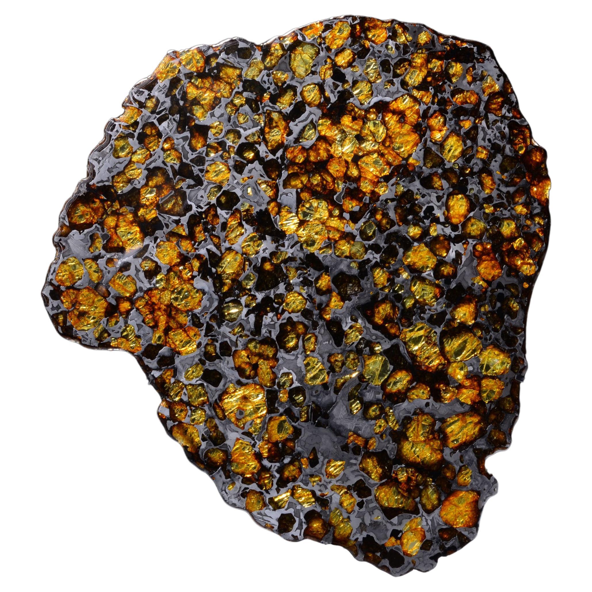 Spectacular Imilac Meteorite