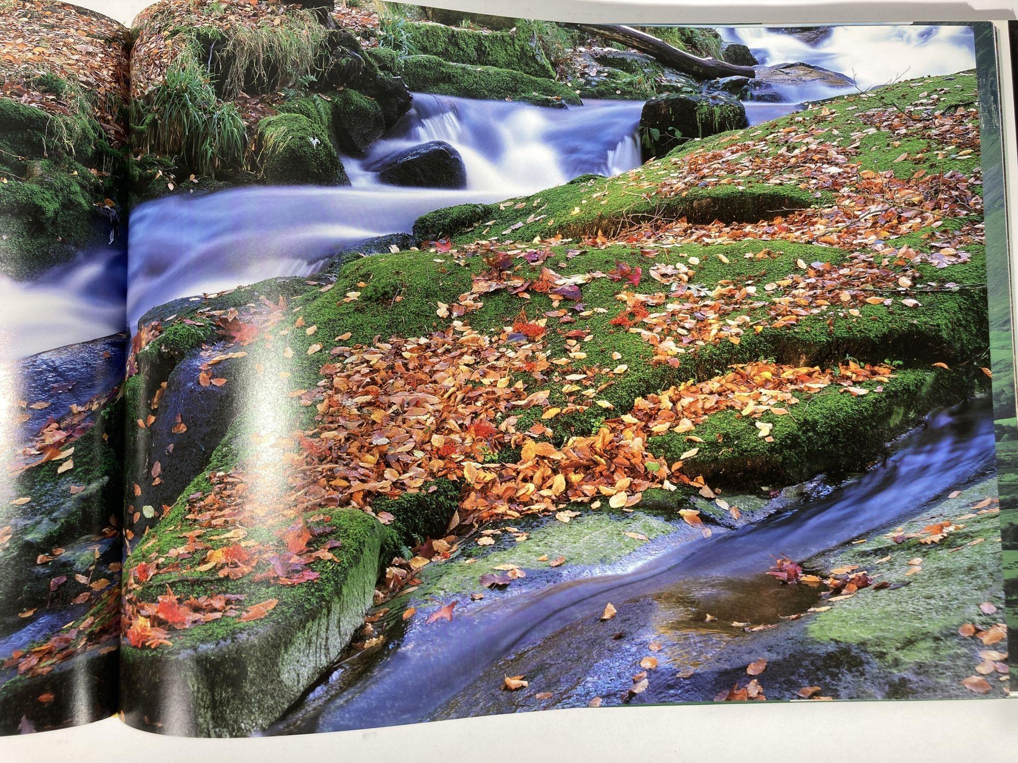 Spectacular Ireland by Peter Harbison Hardcover Book For Sale 4