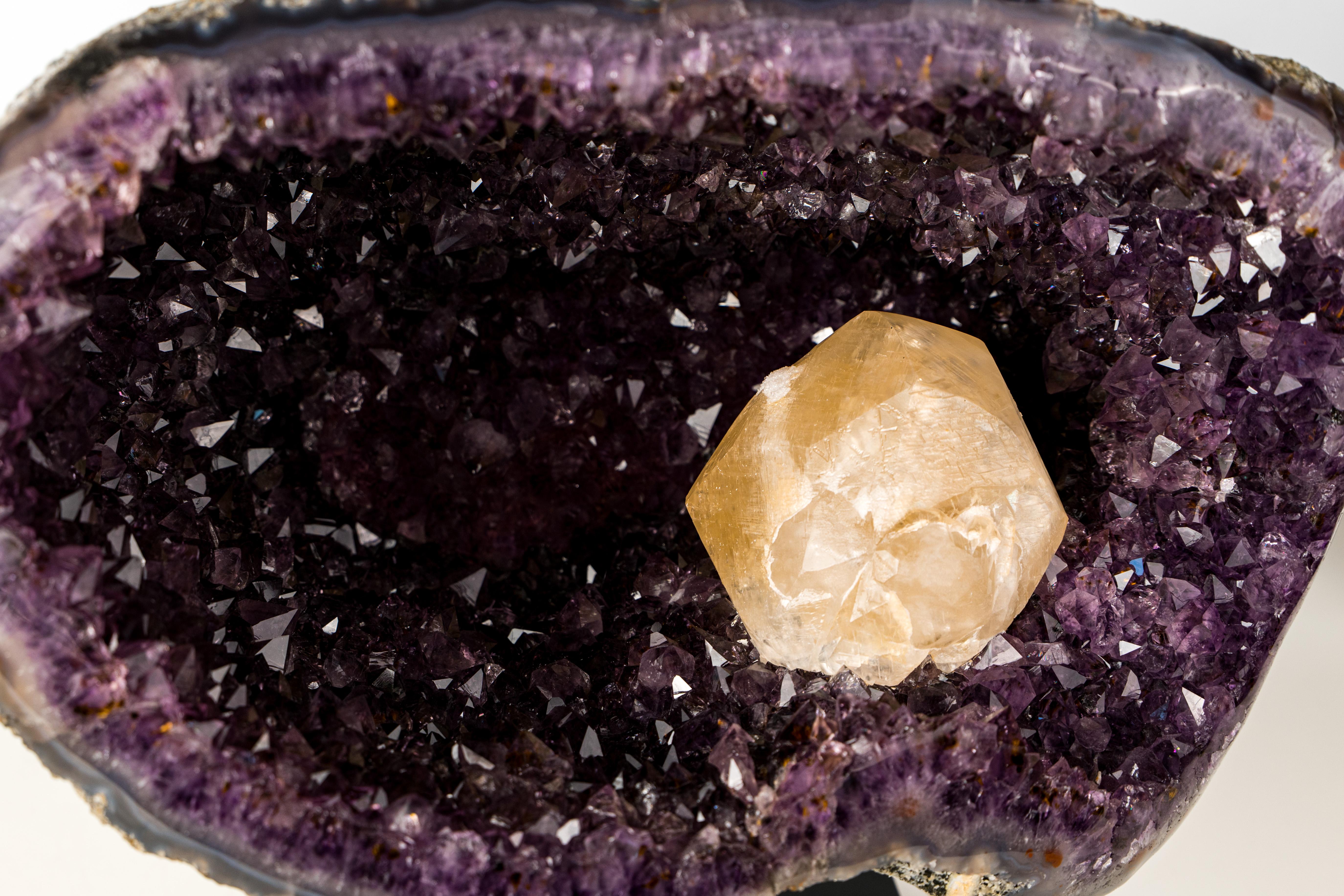 Calcite X-large su uno splendido geode di ametista

▫️ Descrizione

Scultoreo e dall'estetica splendida, questo notevole esemplare combina un cristallo di calcite extra-large, una tonalità di ametista viola intenso e una formazione geodica del tutto