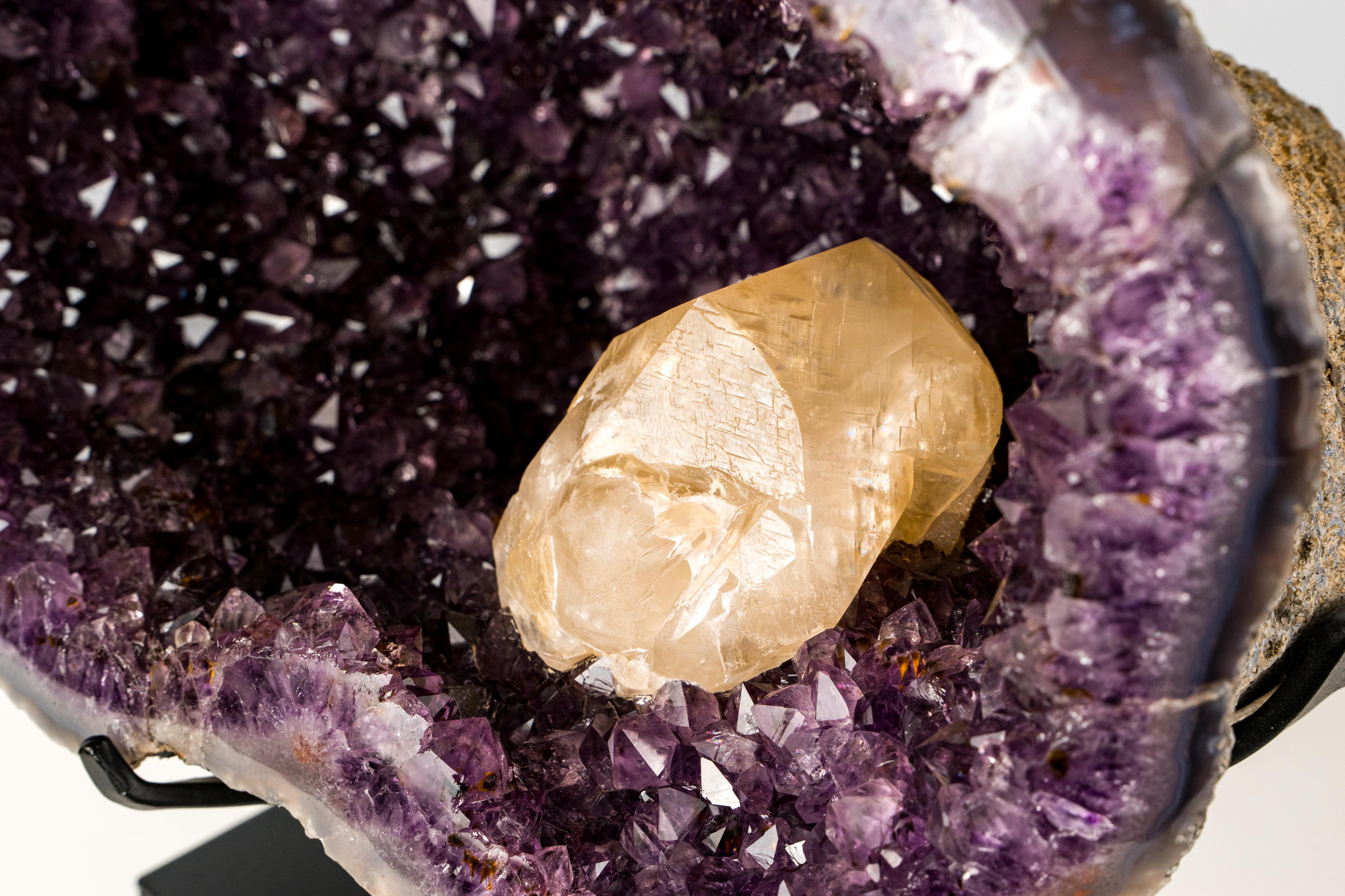 Cristallo Spettacolare grande geode di ametista in grotta con druzy viola intenso in vendita