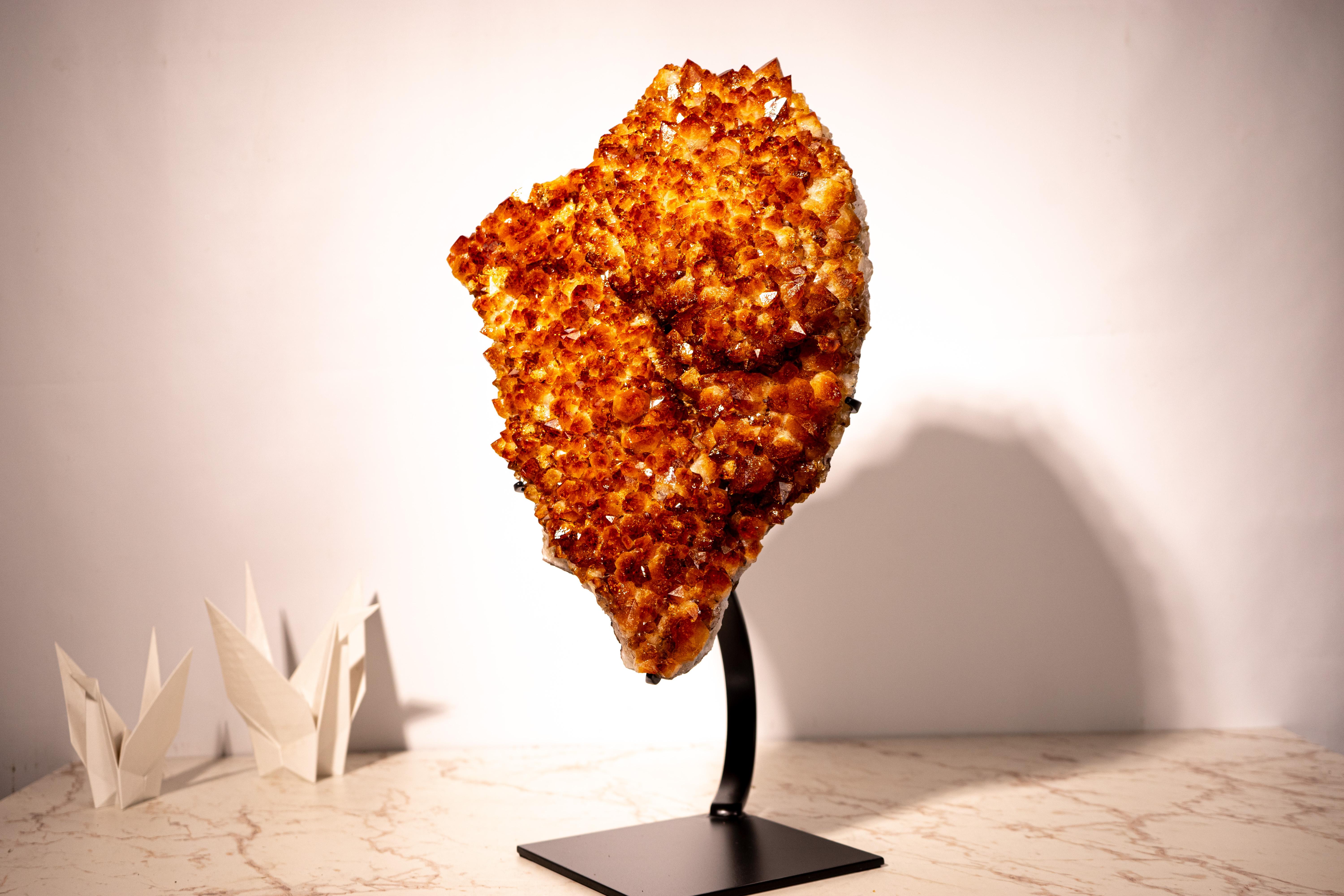 A Showstopper Centerpiece Citrine Crystal

▫️ Description

A true masterpiece of nature, this large cluster of Orange Madeira Citrine showcases gorgeous aesthetics and a beautiful, rare Madeira citrine druzy in a rosette formation, where the points