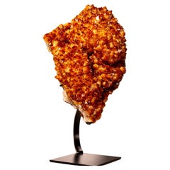 Large Madeira Citrine Crystal Cluster with Flower Rosette on Custom-Made Stand
