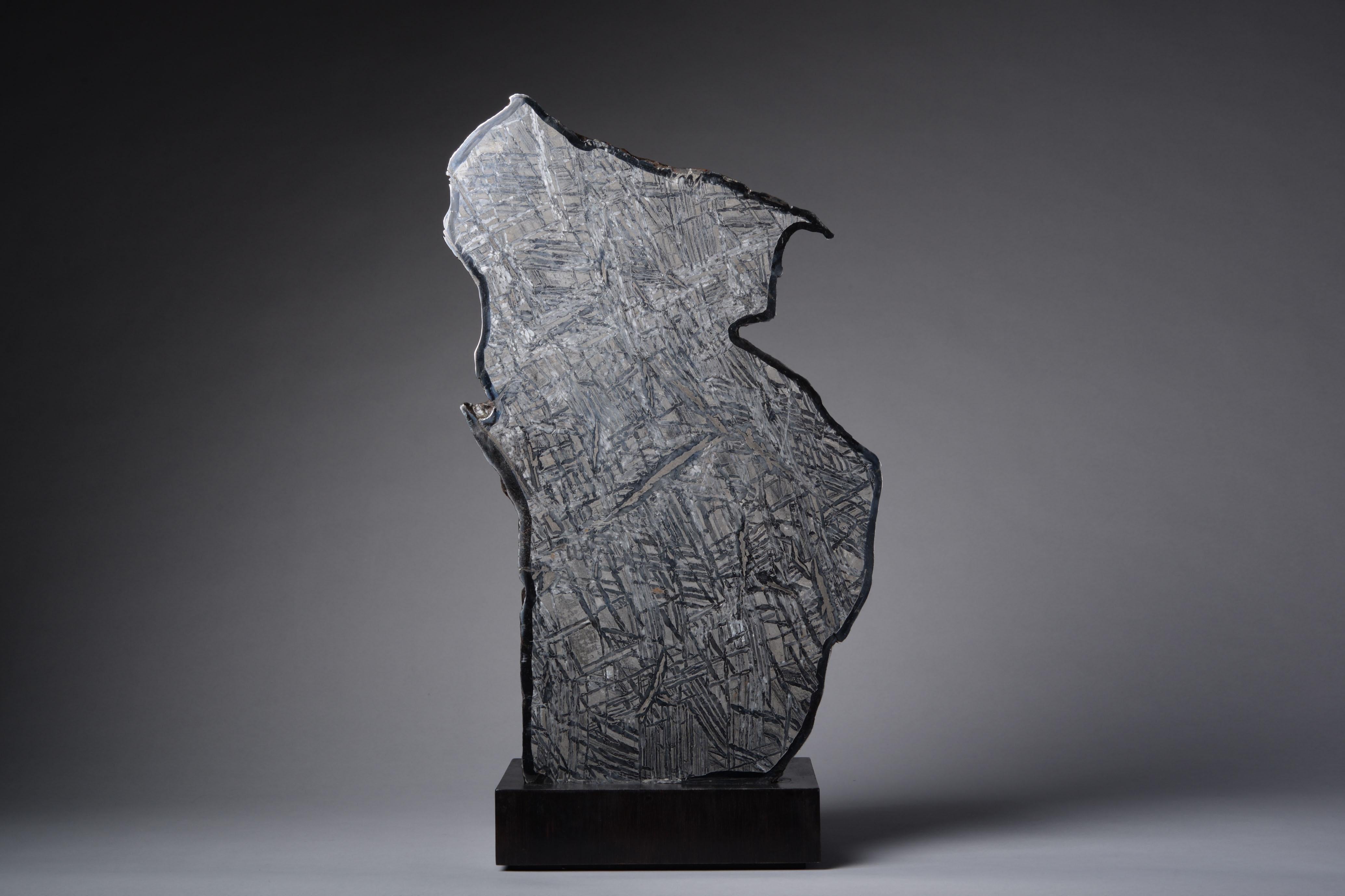 Un magnifique spécimen extrêmement sculptural de la météorite Seymchan, récupérée dans l'Extrême-Orient russe. Cette coupe rare et de grande taille préserve l'extérieur patiné et partiellement fondu de la météorite, ainsi que le motif fascinant et