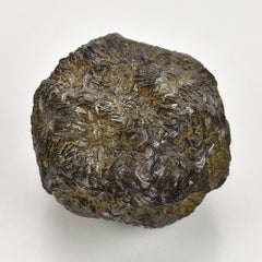 Espectacular Marcasita Nódulo Pirita Oro de los Tontos Esfera Francia