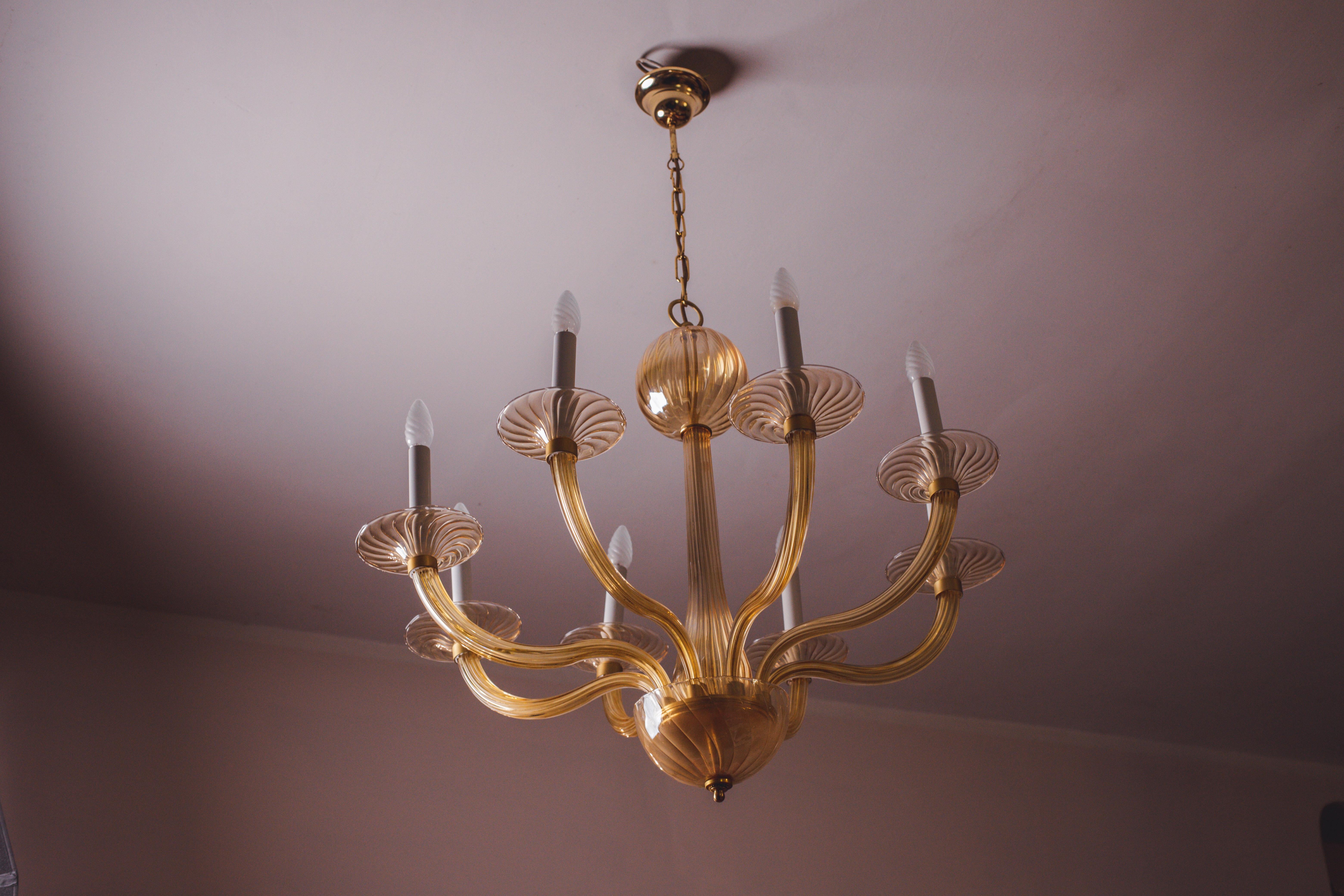 Spectacular Murano Amber 8 arms chandelier, 1970s 10