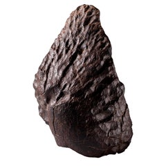 Spectaculaire météorite orientée