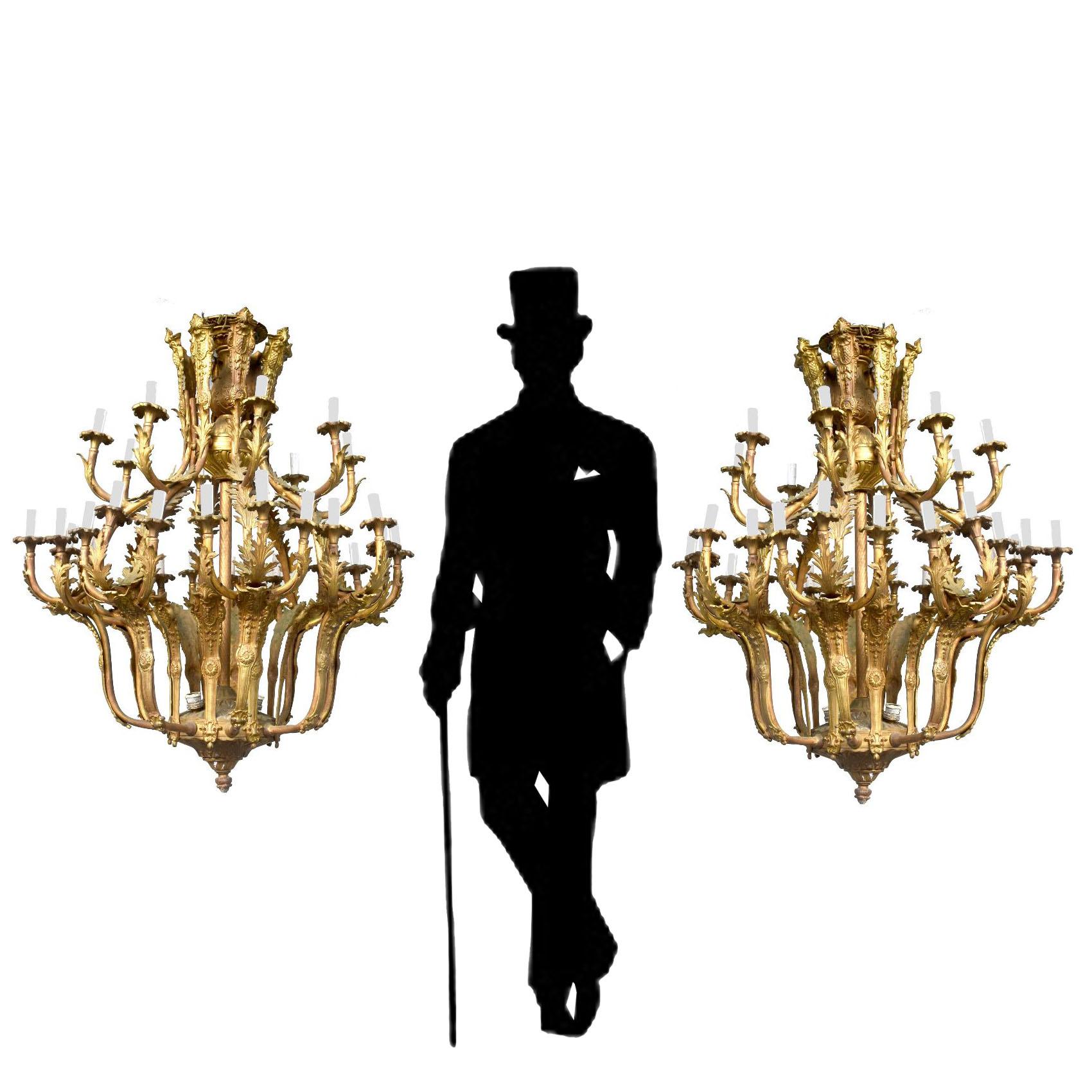 Spectacular pair of Louis XV style chandeliers, gilt bronze, 36 lights, approximately height 115 cm, diameter 95 cm.