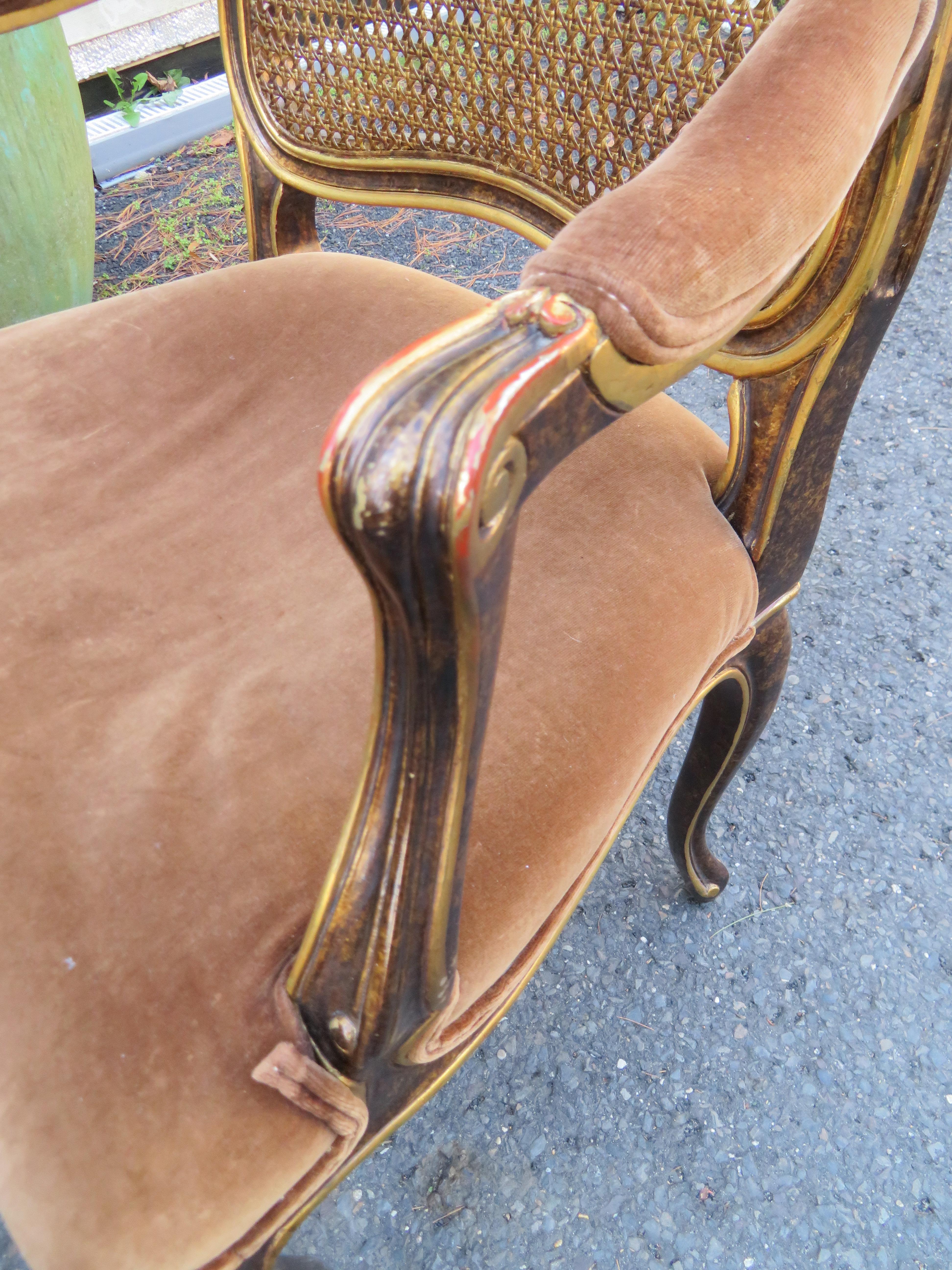 Spectaculaire paire de fauteuils Louis XV  dossier cann en caille de tortue de Widdicomb en vente 4