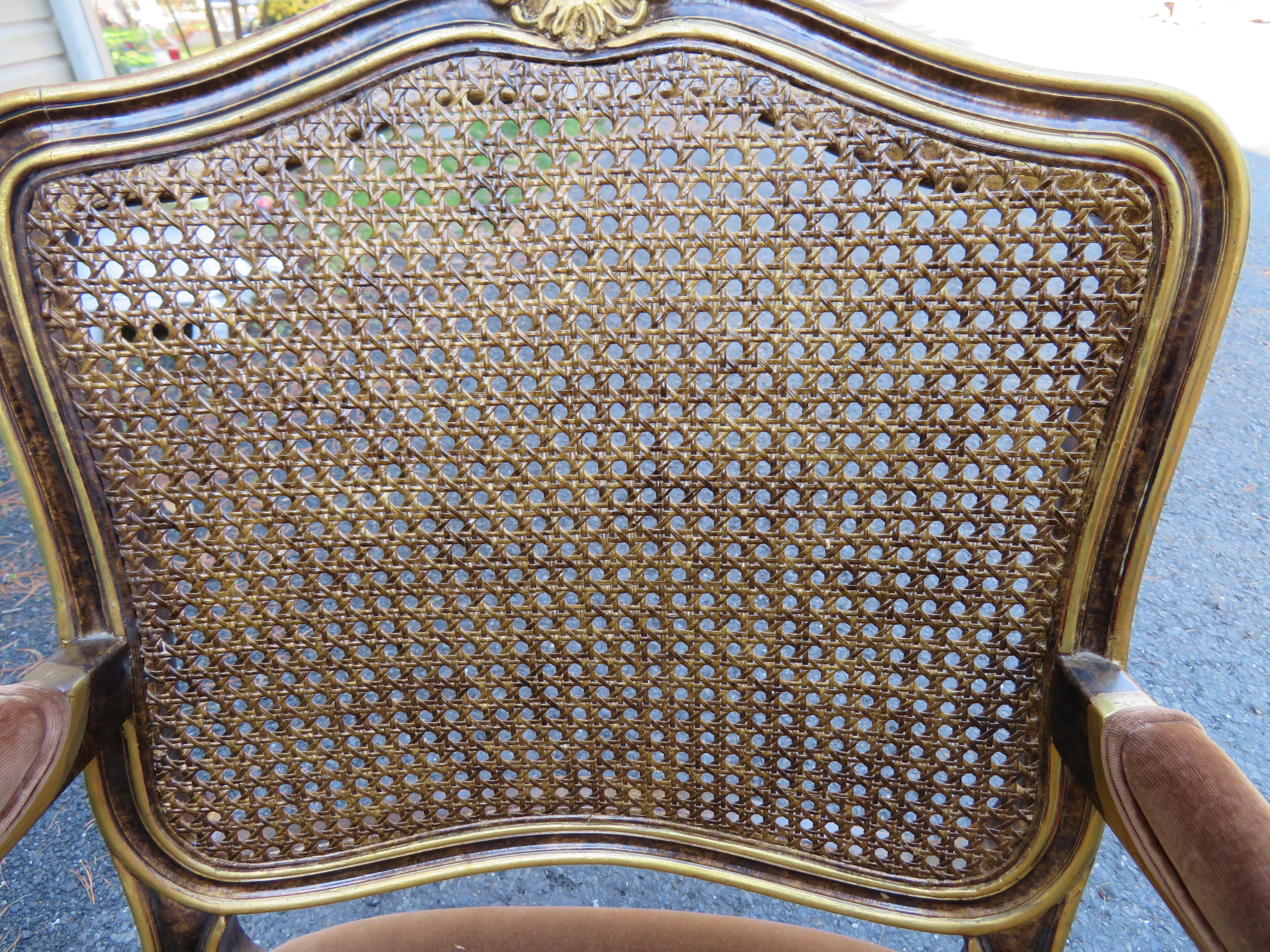 Spectaculaire paire de fauteuils Louis XV  dossier cann en caille de tortue de Widdicomb en vente 5
