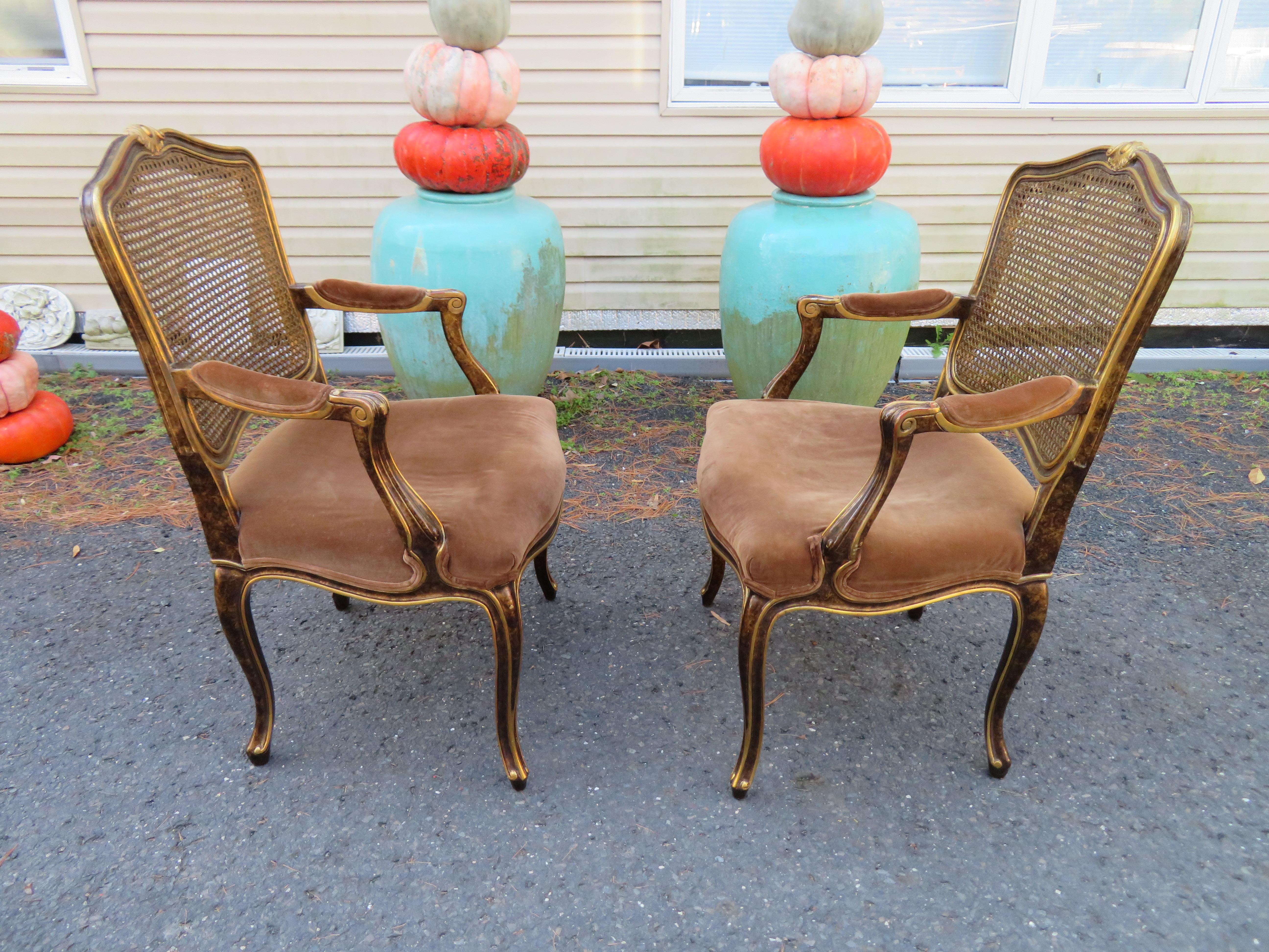 American Spectacular Pair Widdicomb Louis XV Fauteuil Chairs Tortoise Shell Caned Back For Sale